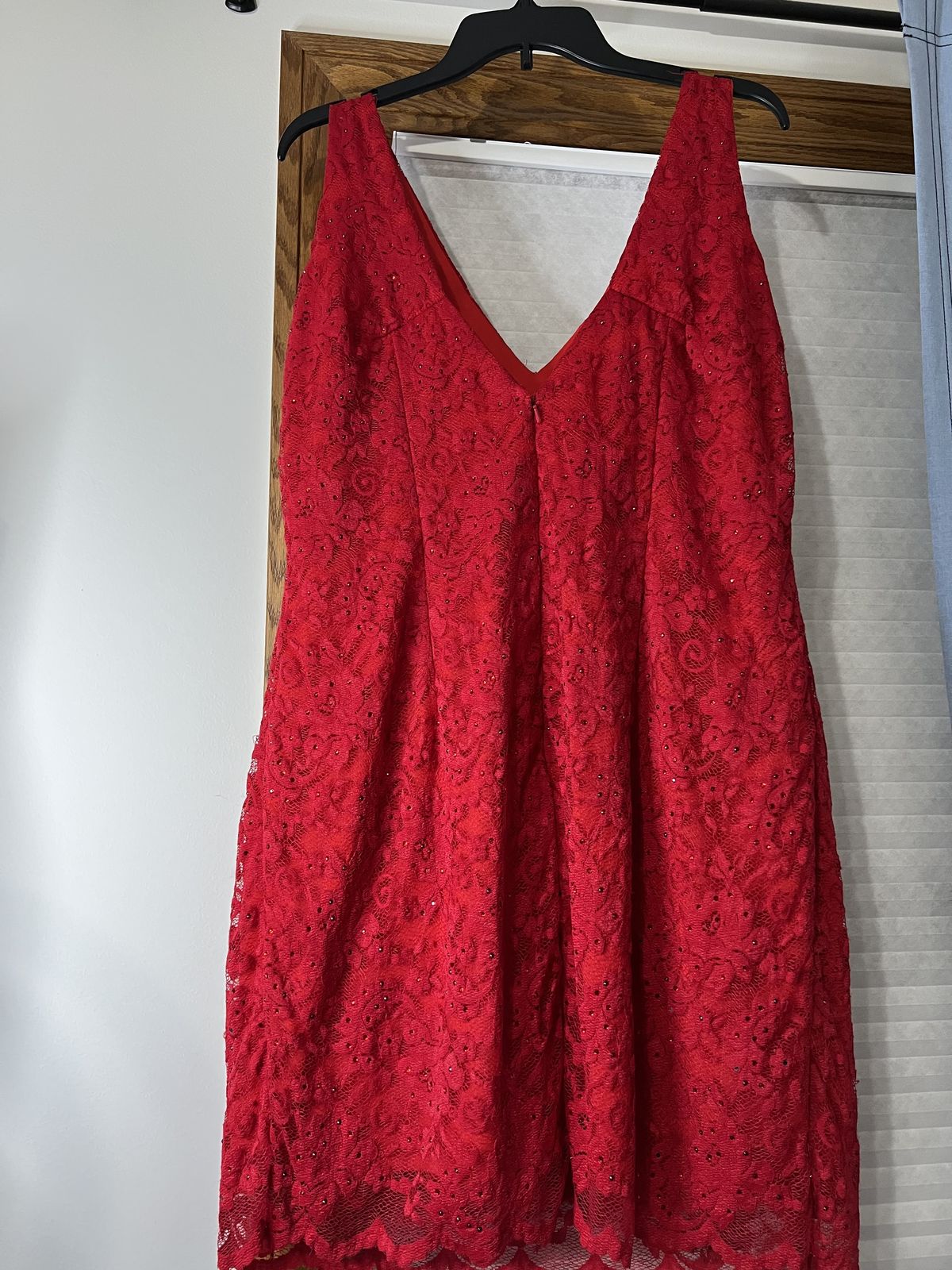 Alyce Paris Plus Size 18 Homecoming Lace Red Cocktail Dress on Queenly
