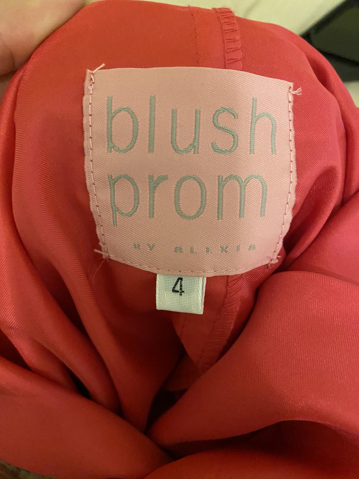 Blush Prom Size 2 Prom Pink Floor Length Maxi on Queenly