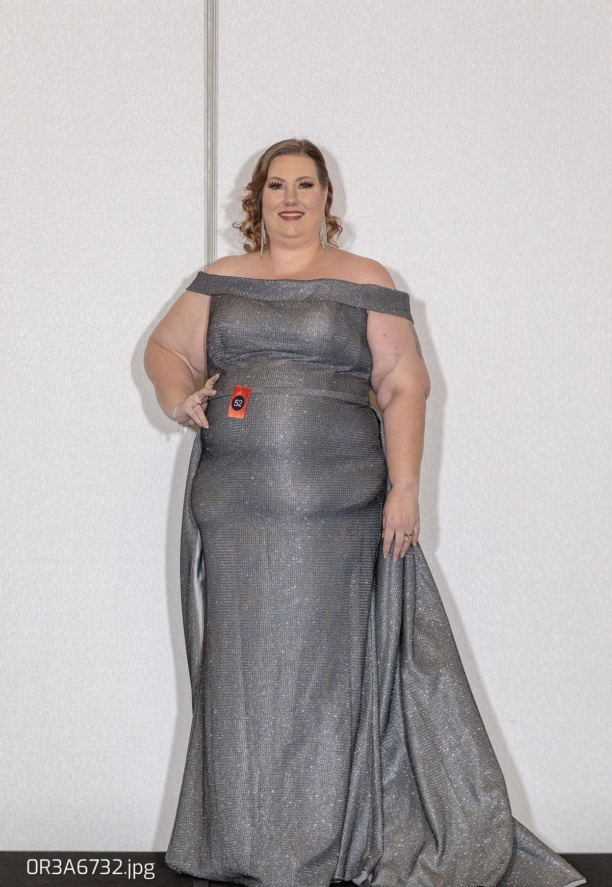 Plus Size 16 Silver Floor Length Maxi on Queenly
