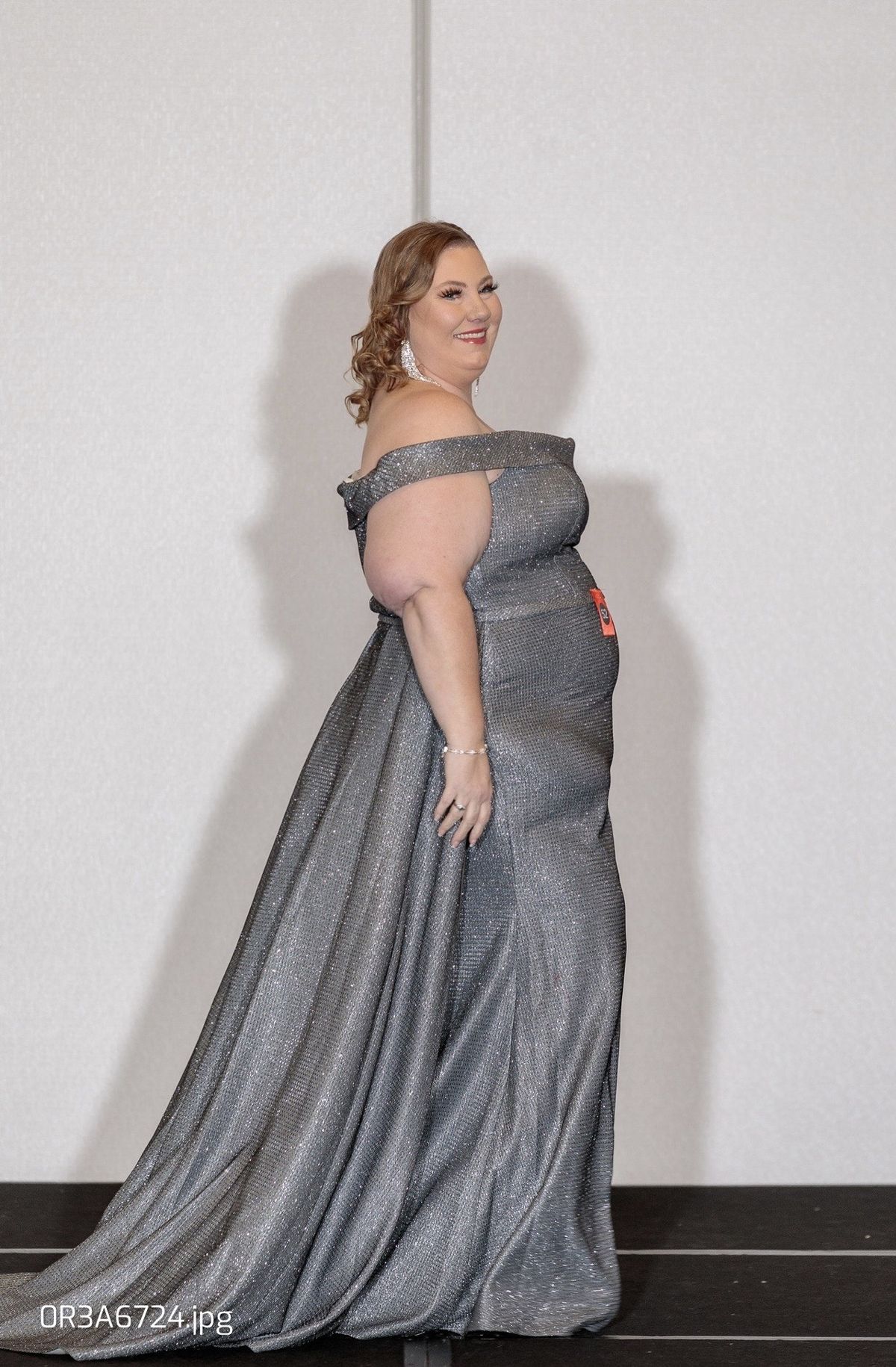 Plus Size 16 Silver Floor Length Maxi on Queenly