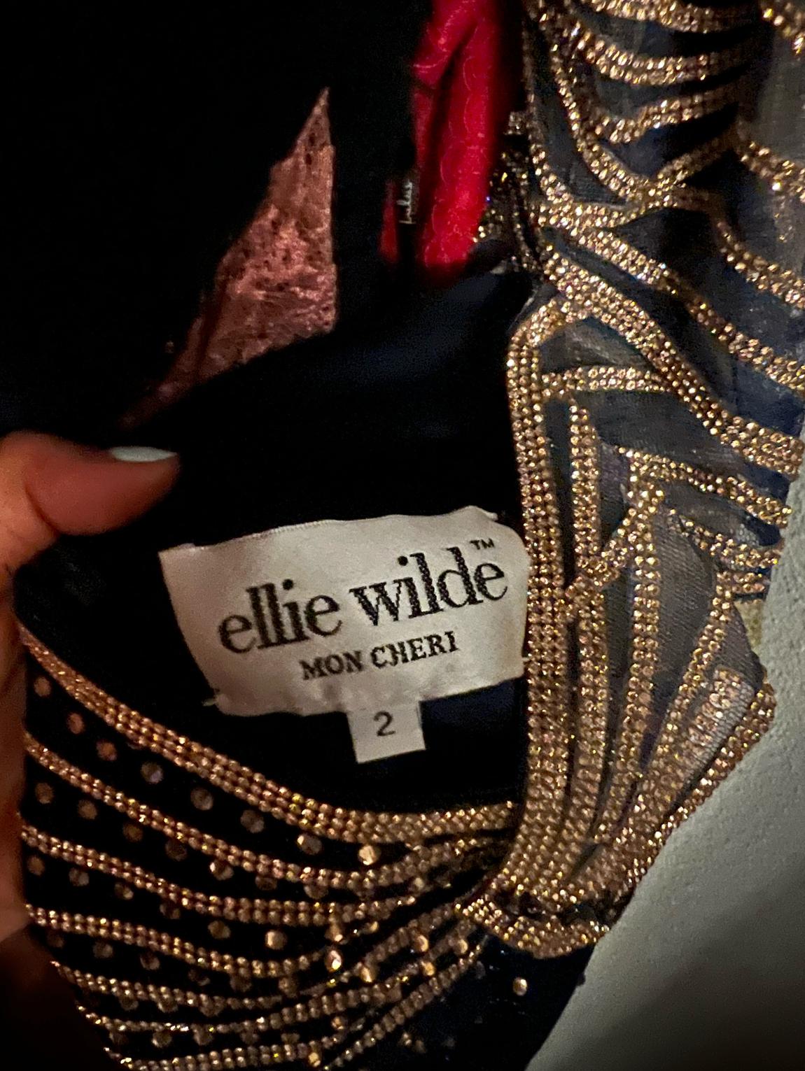 Ellie Wilde Size 2 Plunge Sheer Blue Floor Length Maxi on Queenly