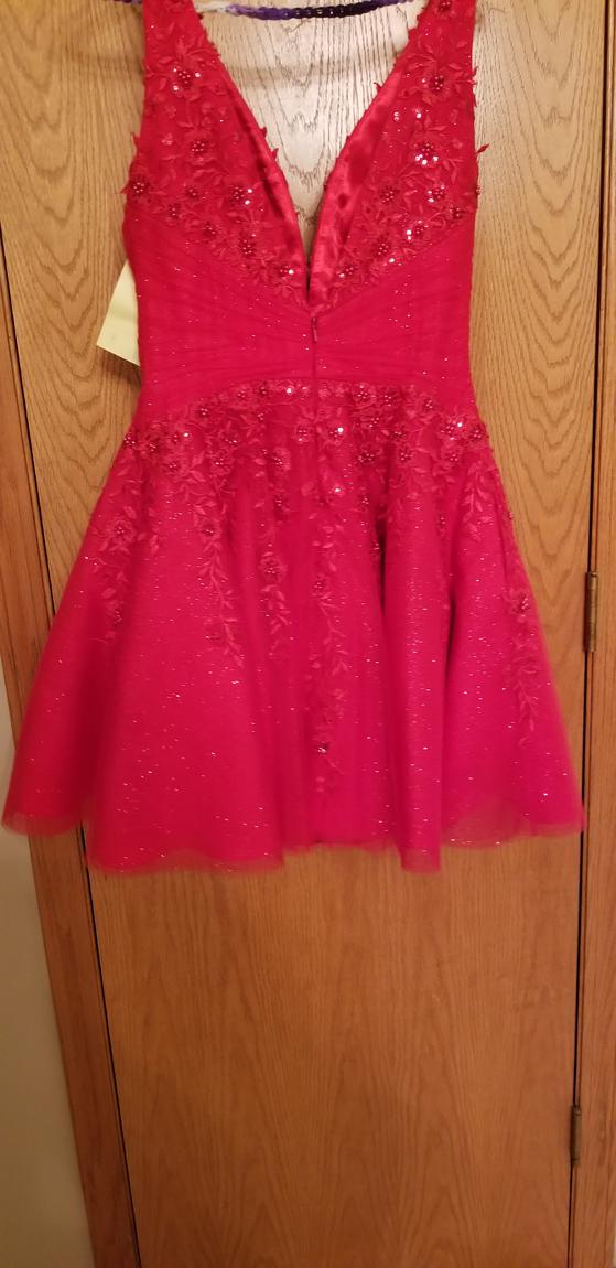 Natalie M Size 4 Sequined Red Cocktail Dress on Queenly