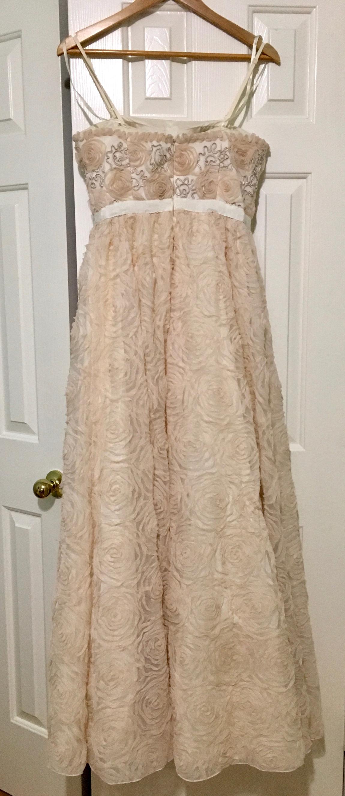 Adrianna Papell Size 6 Nude A-line Dress on Queenly