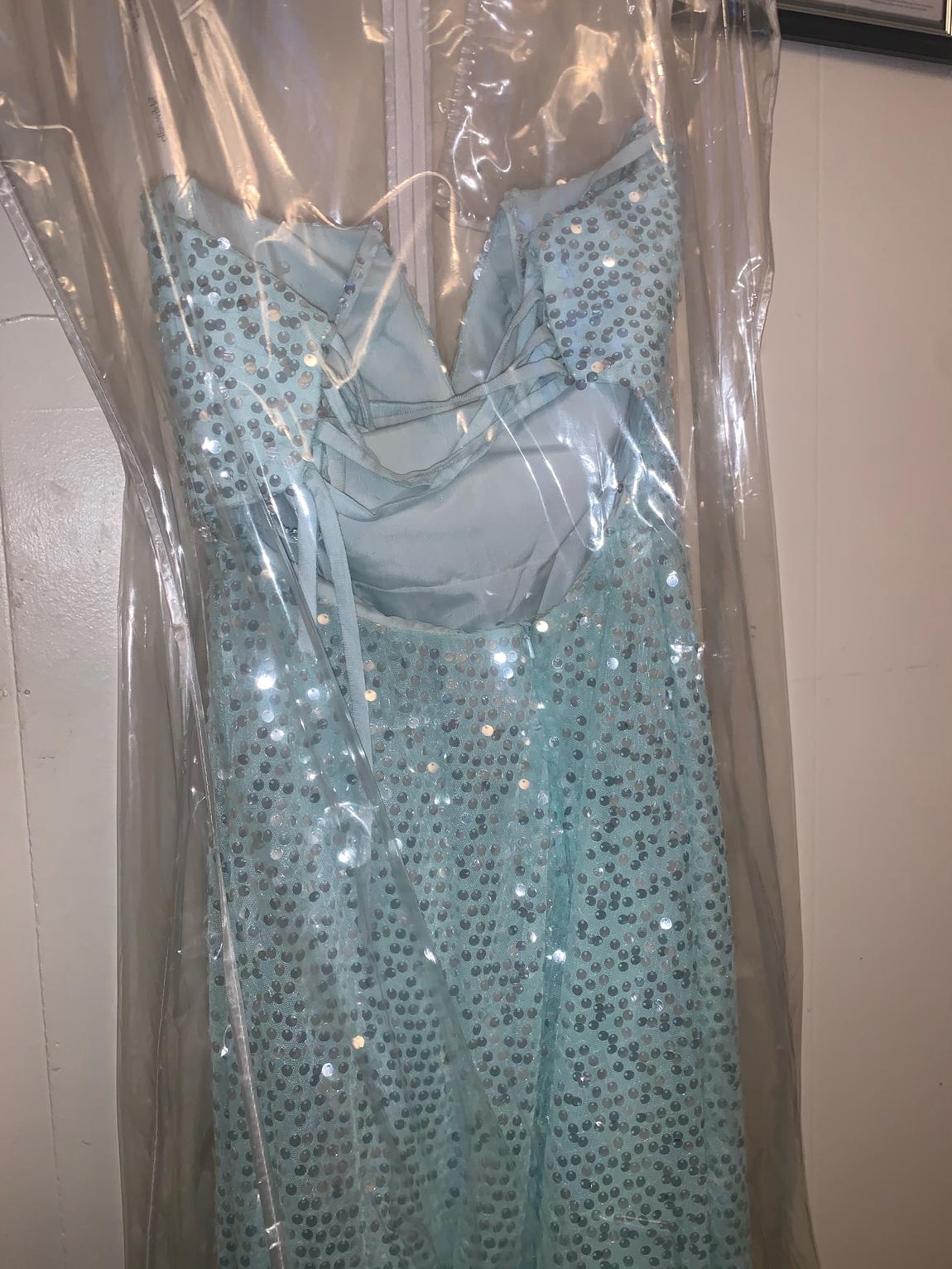 Ellie Wilde Size 00 Sequined Light Green Ball Gown on Queenly