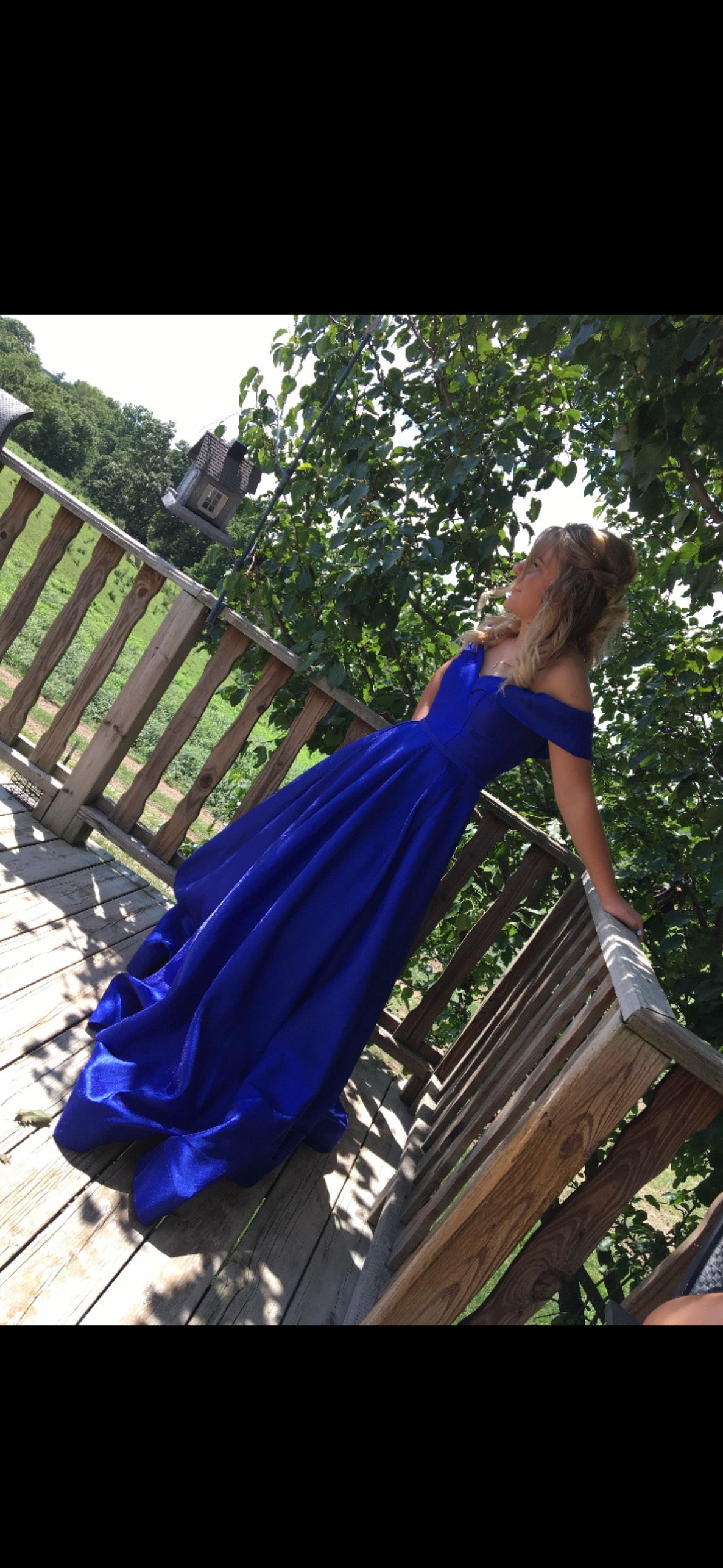 Nina Canacci Size 0 Royal Blue Ball Gown on Queenly