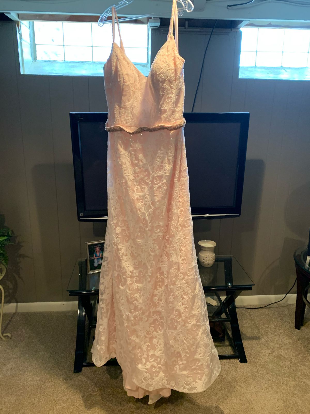 Colors Plus Size 20 Lace Pink Floor Length Maxi on Queenly