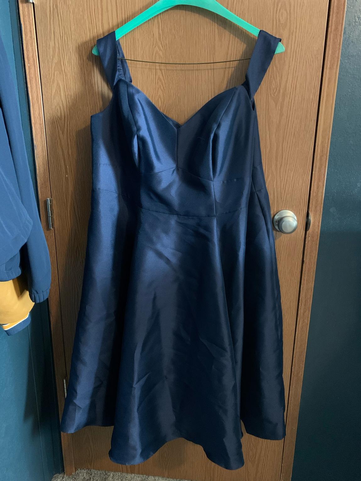 Plus Size 22 Blue Ball Gown on Queenly