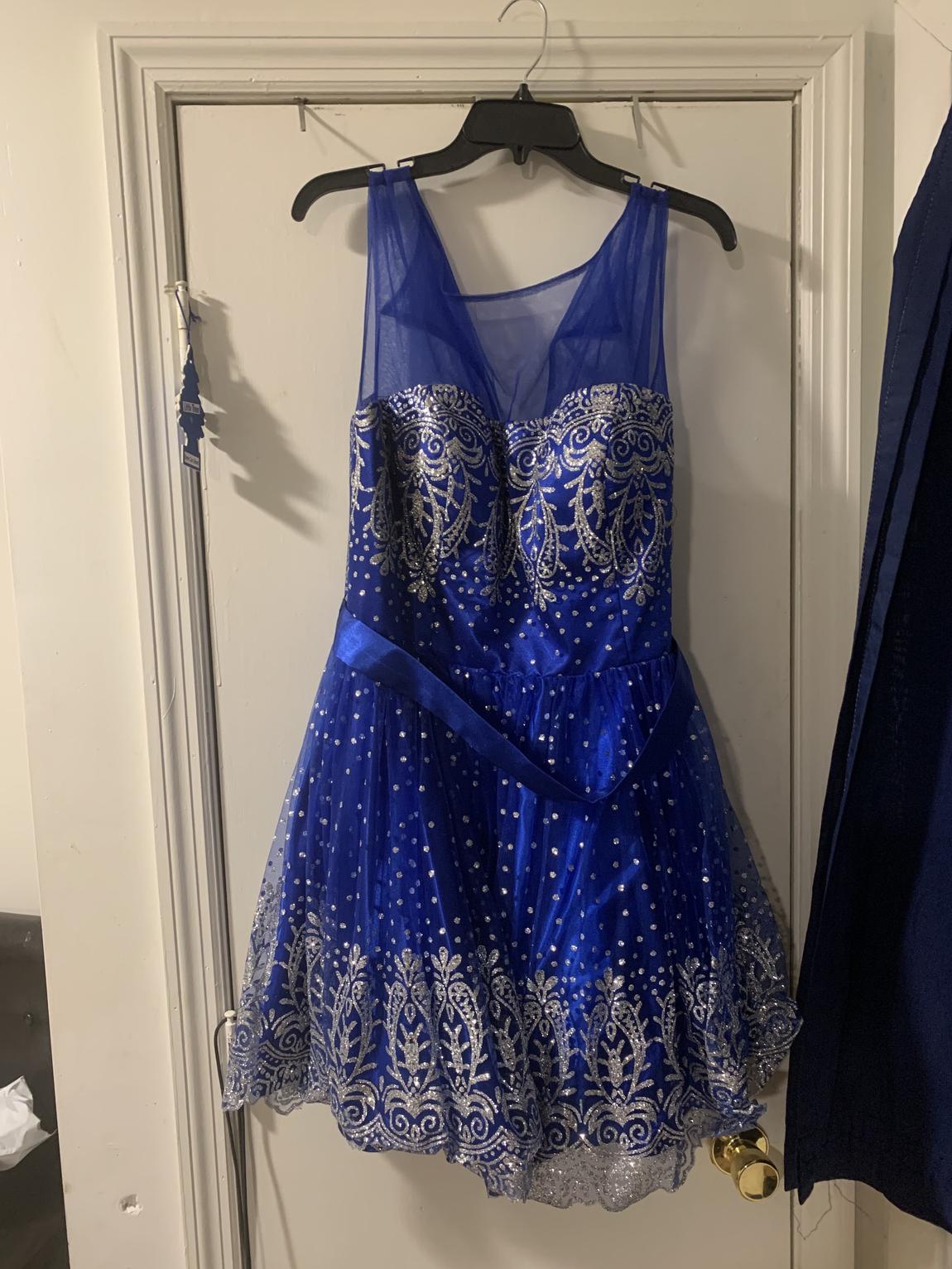Plus Size 16 Sequined Royal Blue Ball Gown on Queenly