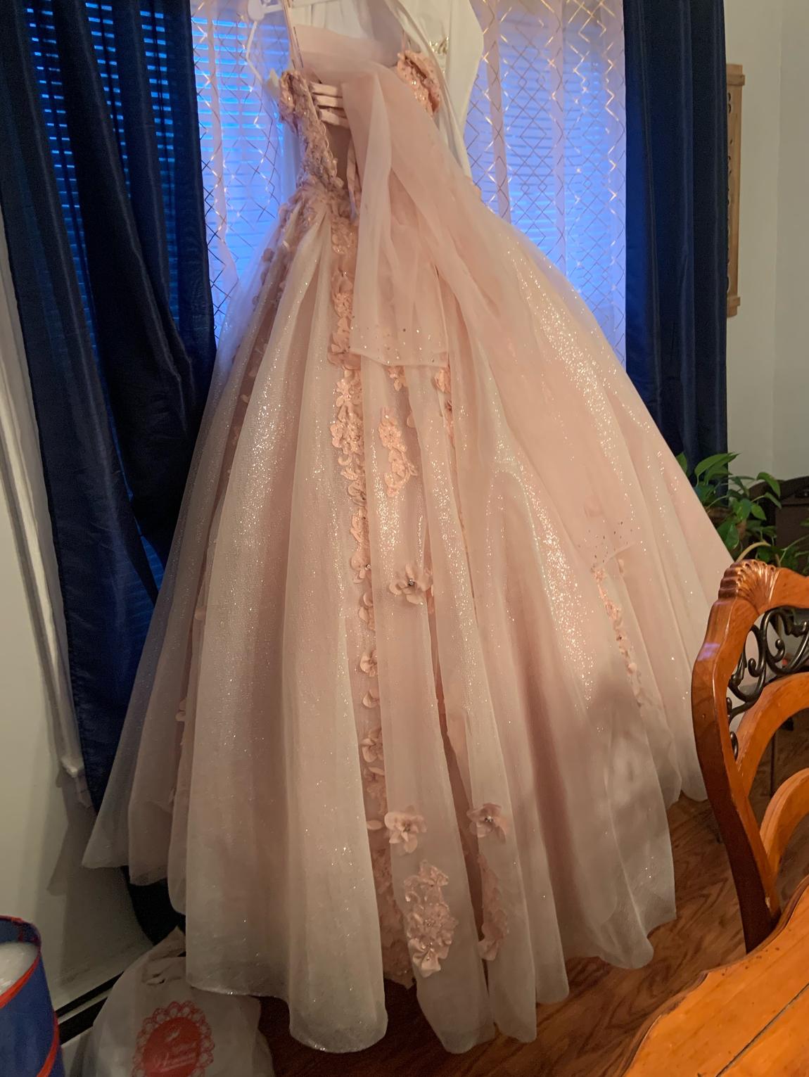 Size 2 Light Pink Ball Gown on Queenly