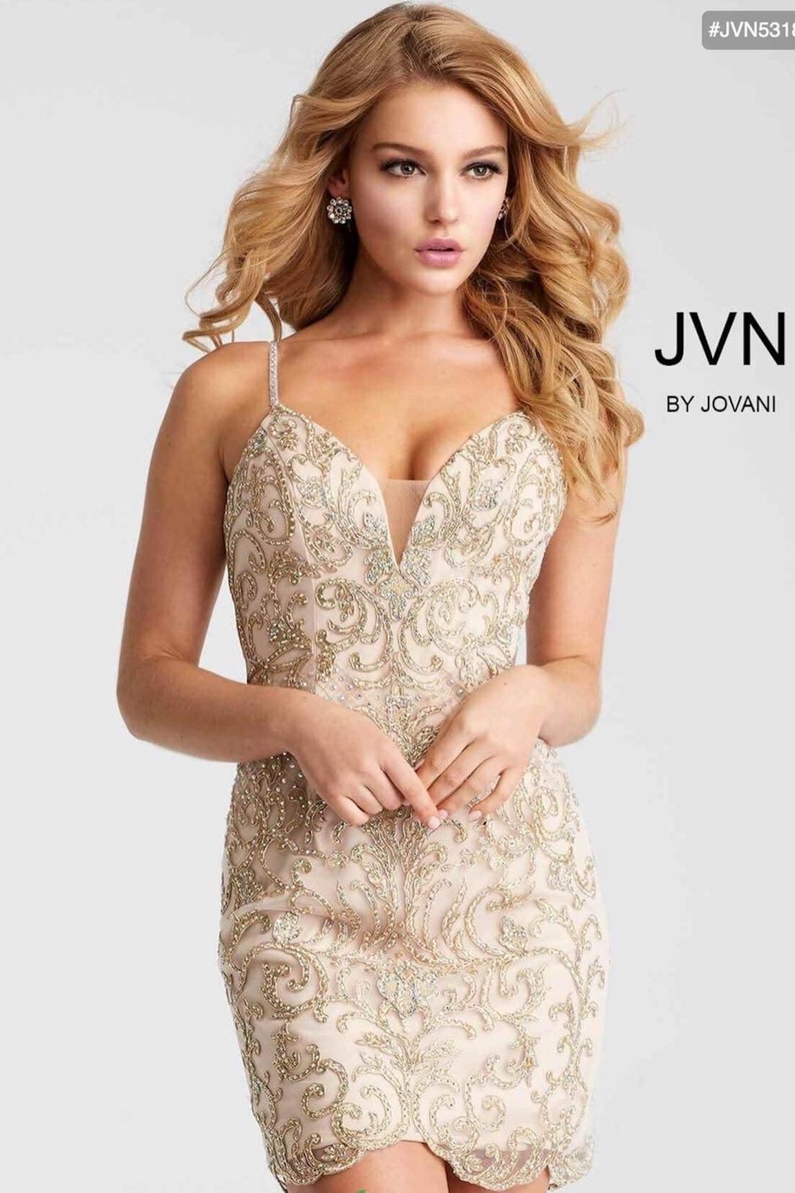 Style 53184 Jovani Size 6 Sheer Nude Cocktail Dress on Queenly