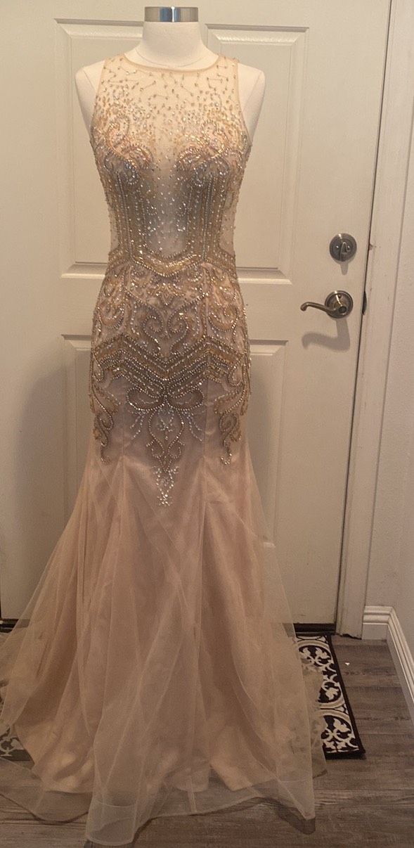 ASPEED Size 0 Sequined Nude Mermaid Dress on Queenly