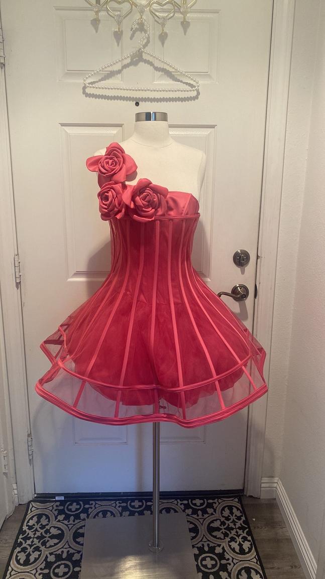 Cinderella Design Size 2 One Shoulder Pink A-line Dress on Queenly