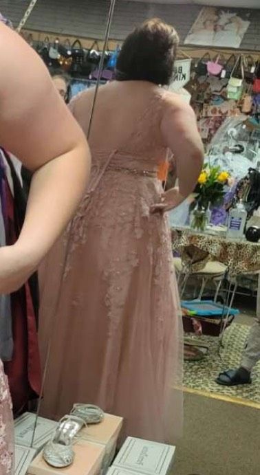 Plus Size 16 Prom Sheer Light Pink Ball Gown on Queenly