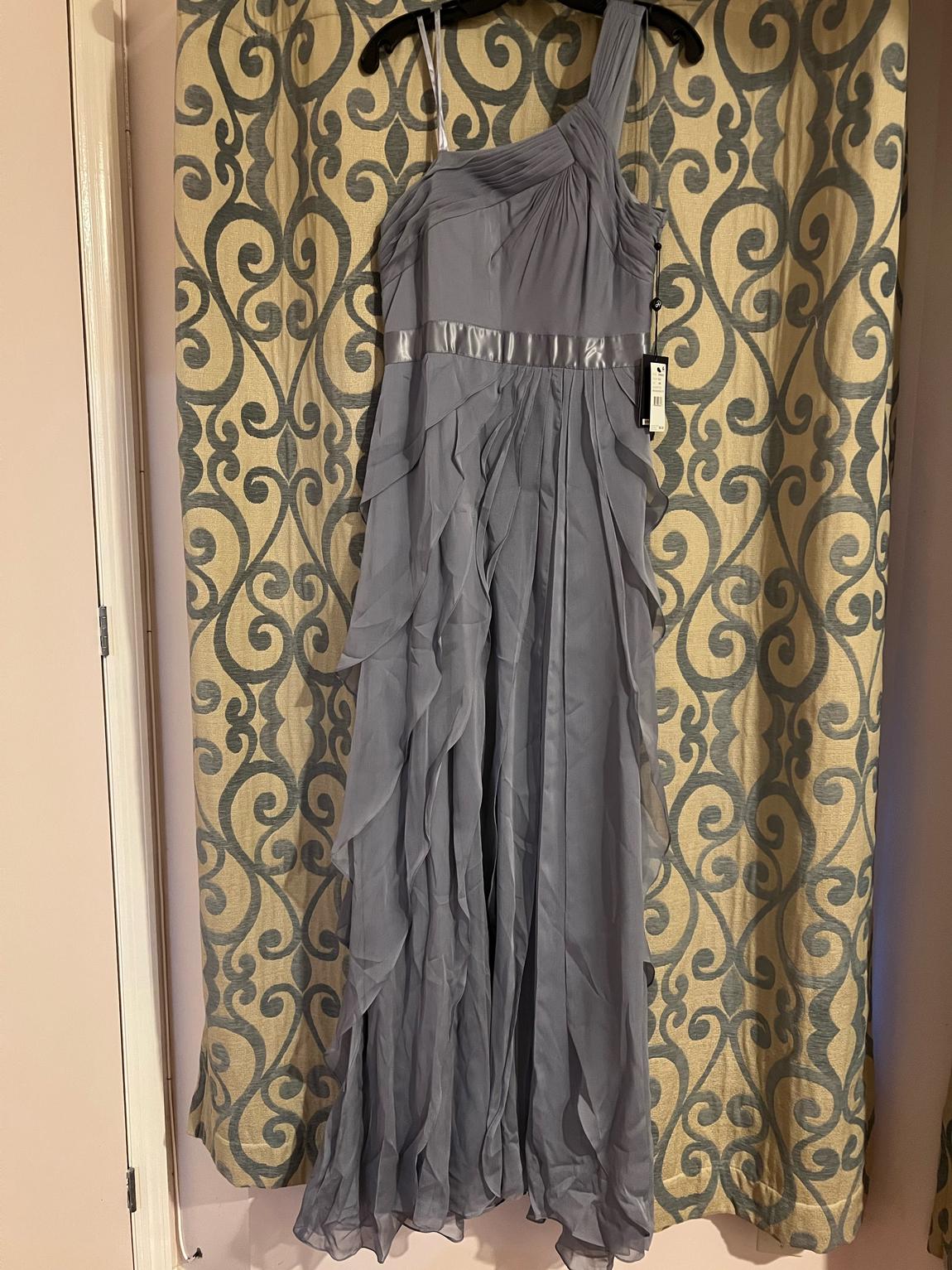 Size 10 Wedding Guest Silver Floor Length Maxi on Queenly