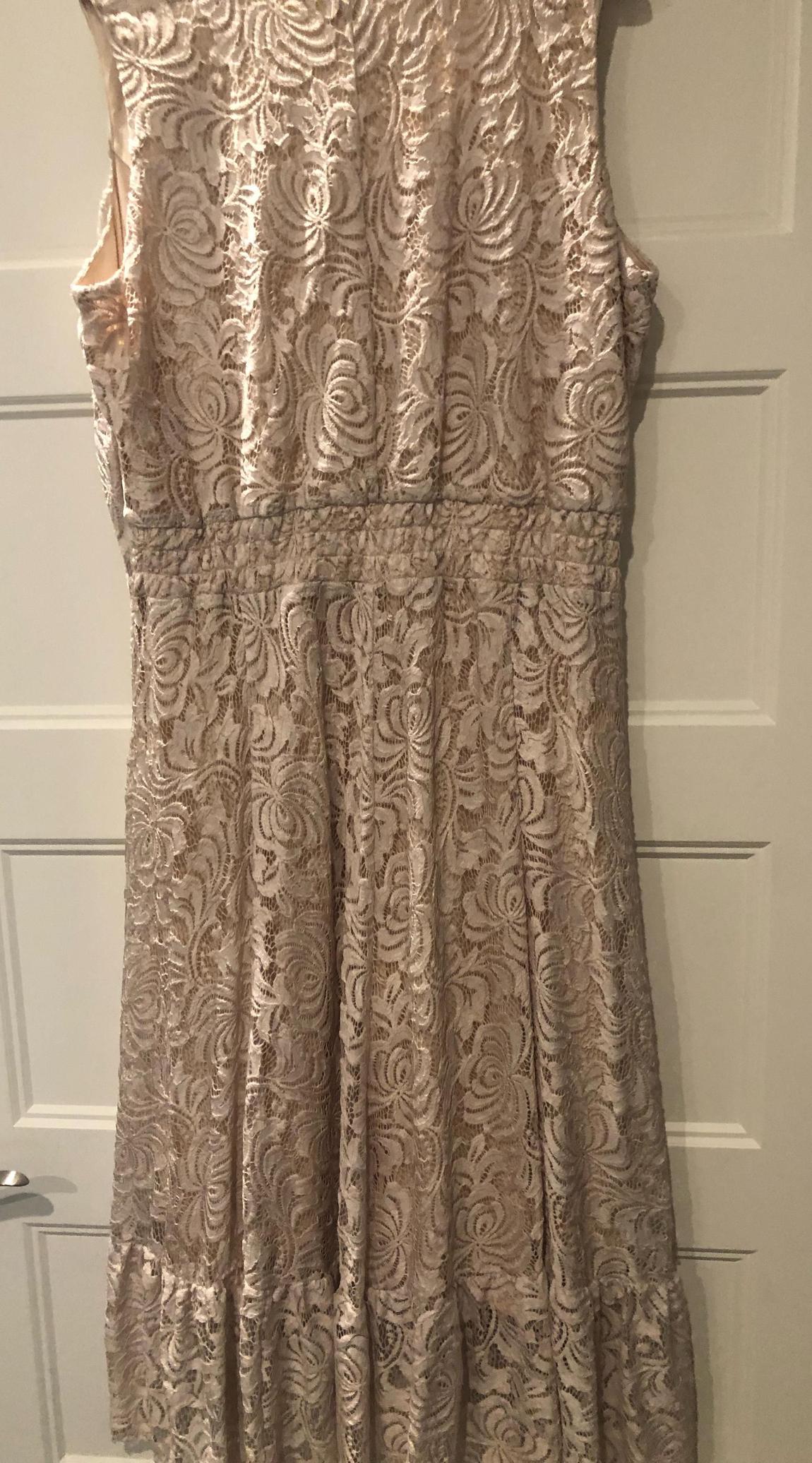Plus Size 16 Lace Nude A-line Dress on Queenly