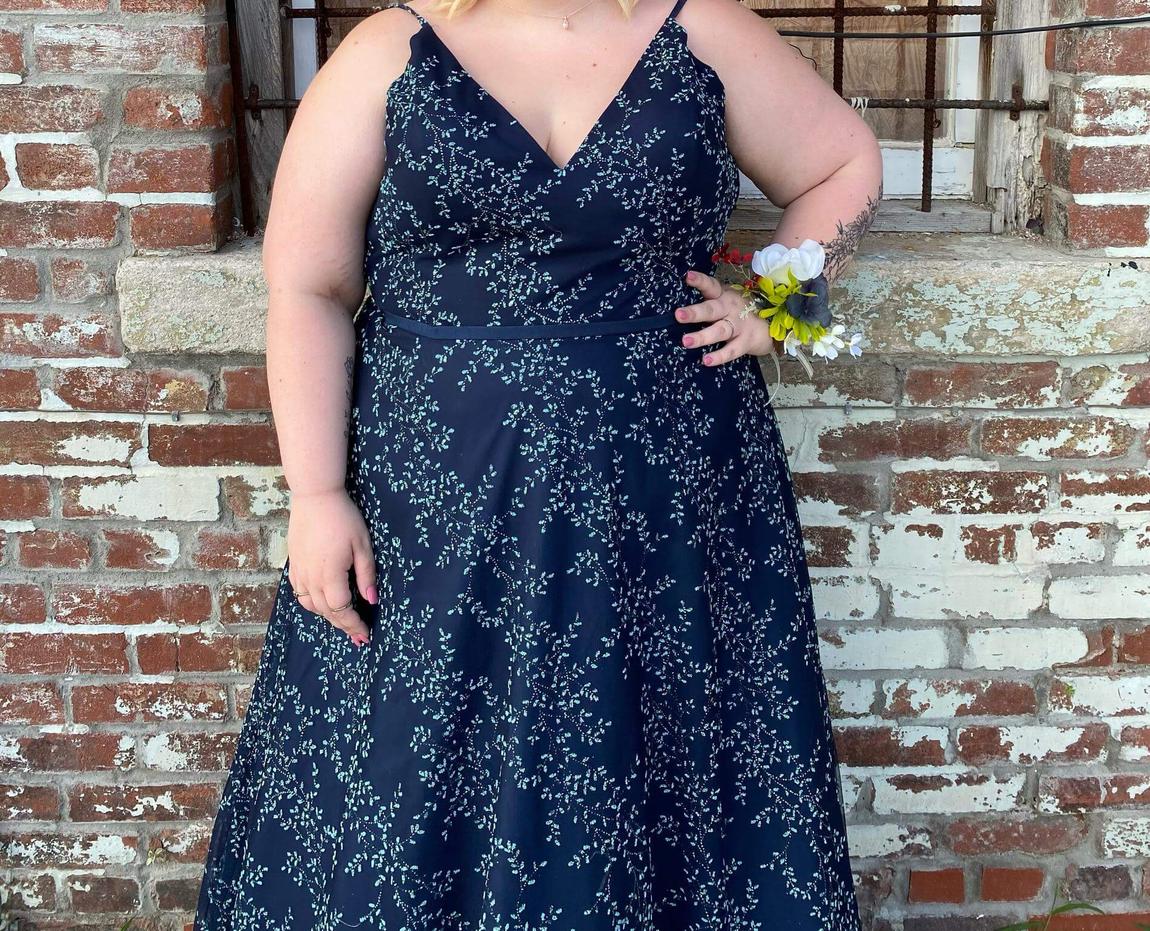 David's Bridal Plus Size 22 Blue Ball Gown on Queenly