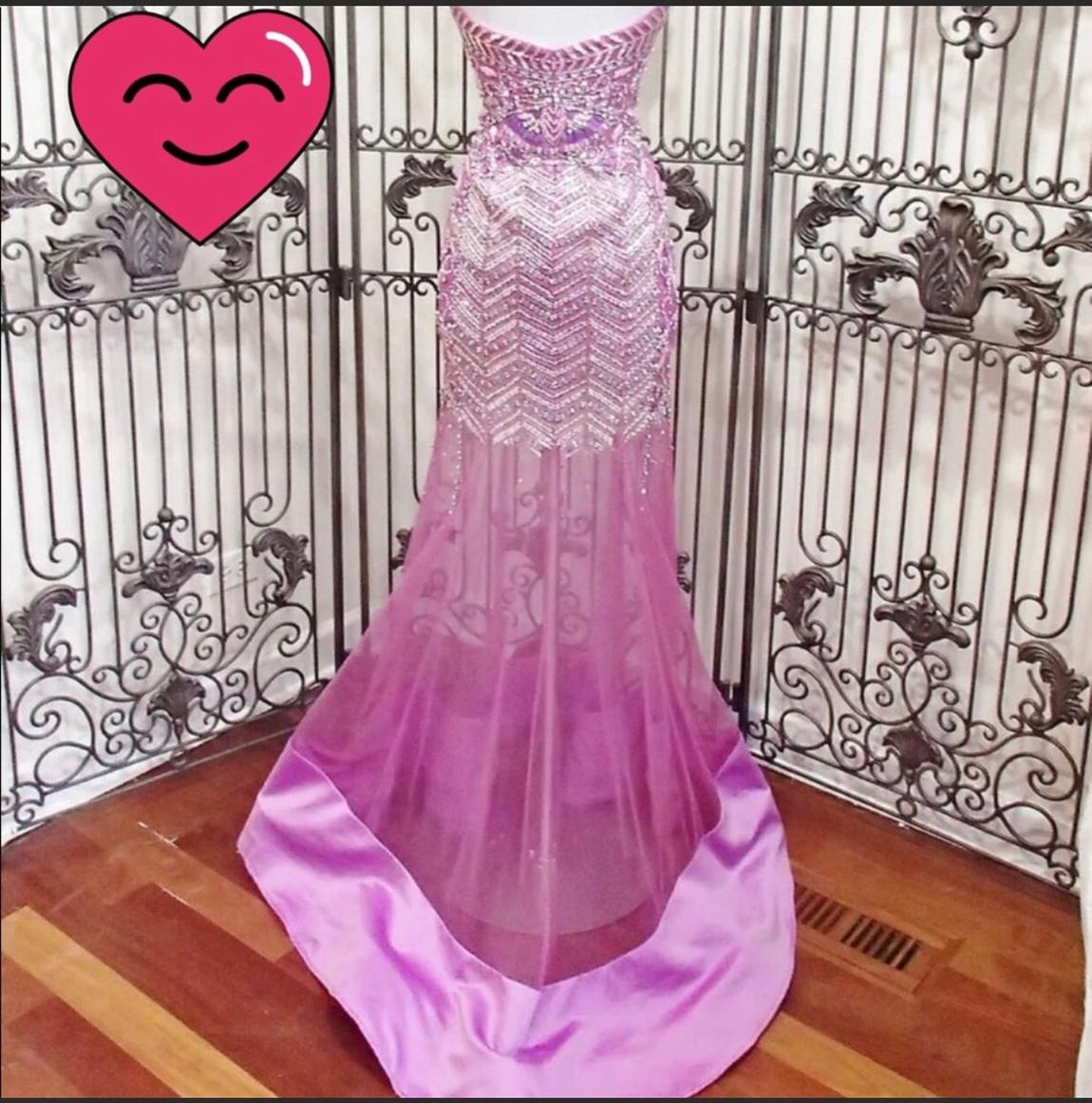 Rachel Allan Size 4 Sheer Purple Mermaid Dress on Queenly