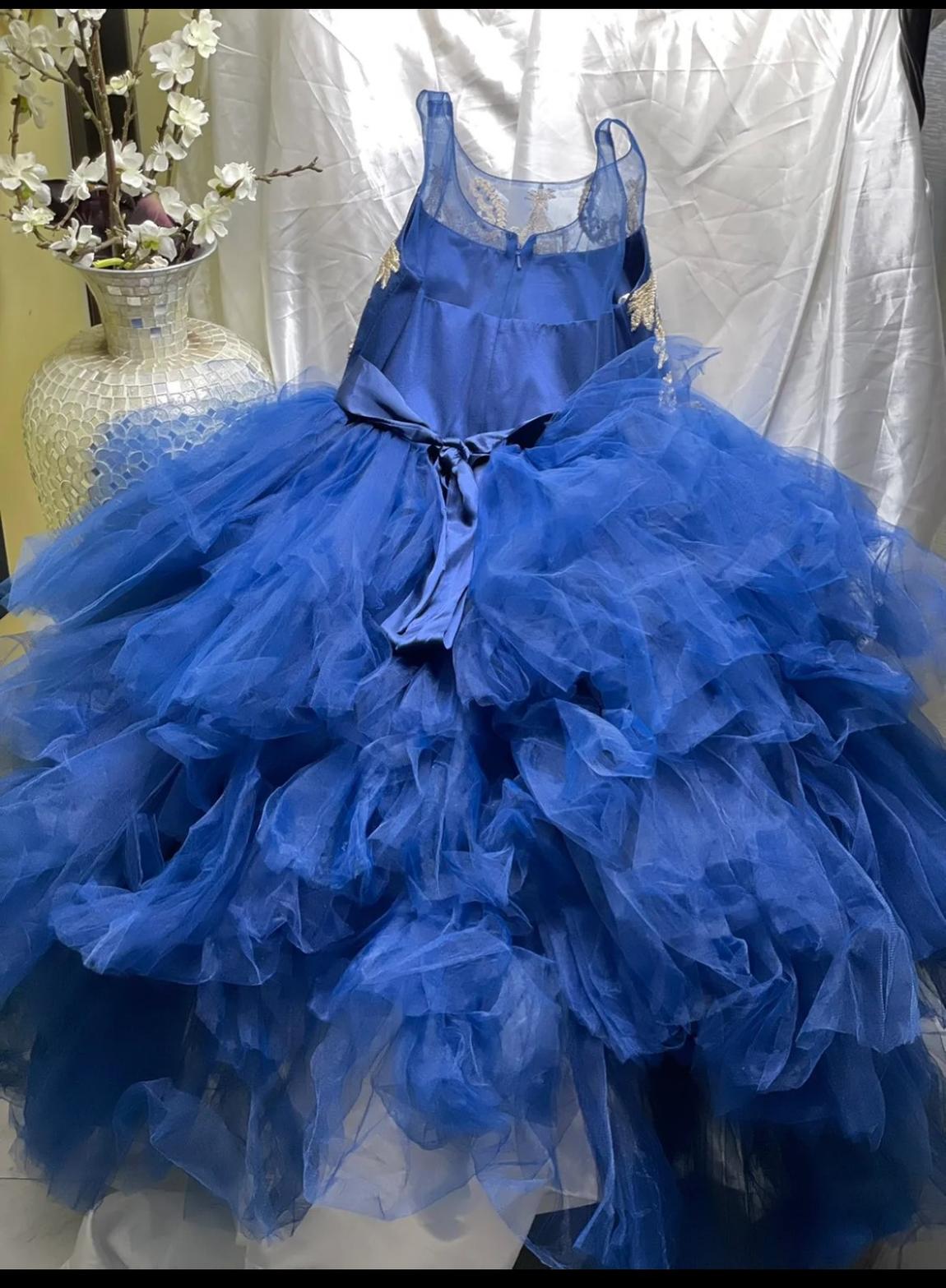 Petite Adele Girls Size 10 Blue Ball Gown on Queenly