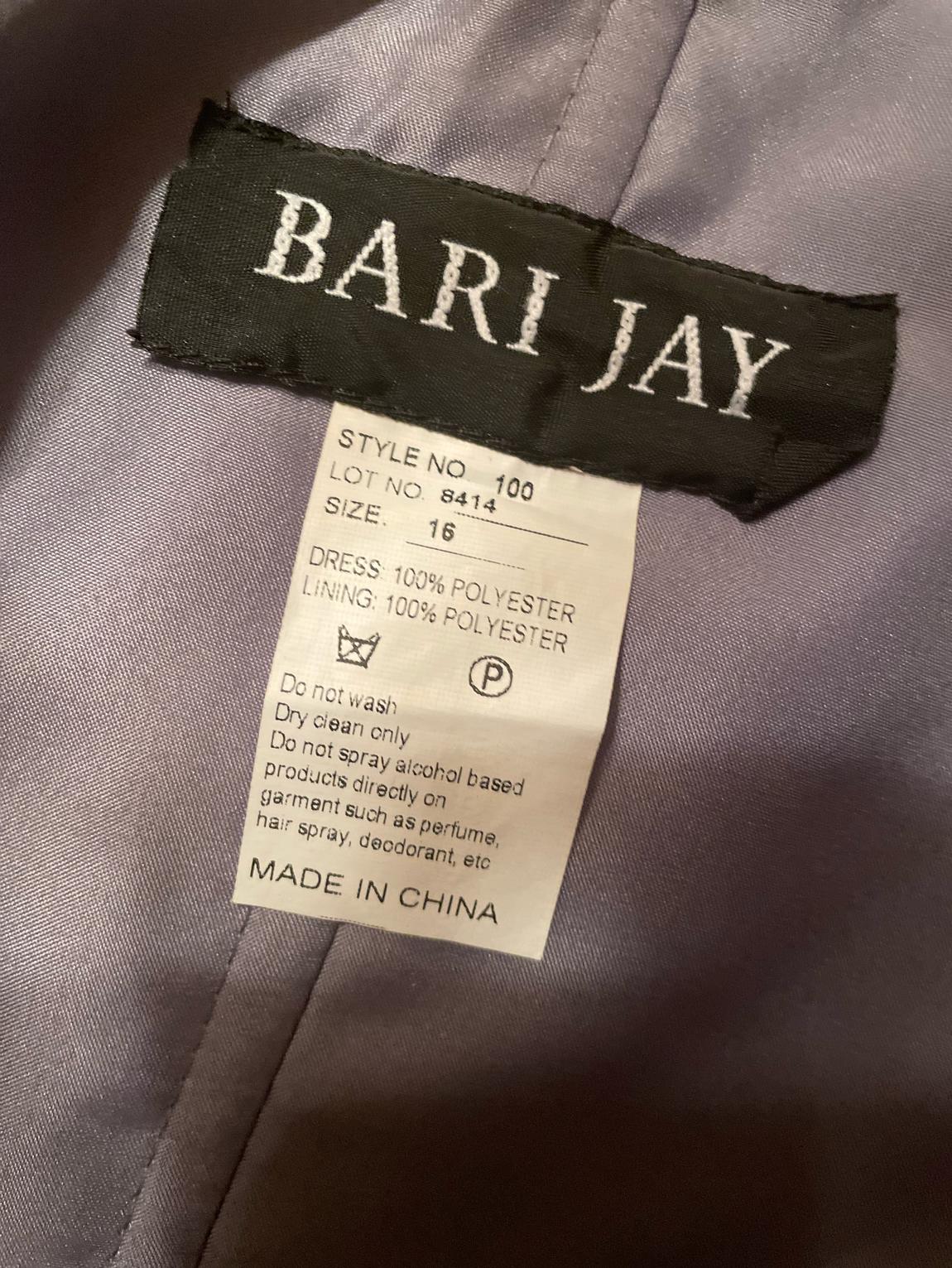 Bari Jay Size 14 Bridesmaid Silver Floor Length Maxi on Queenly