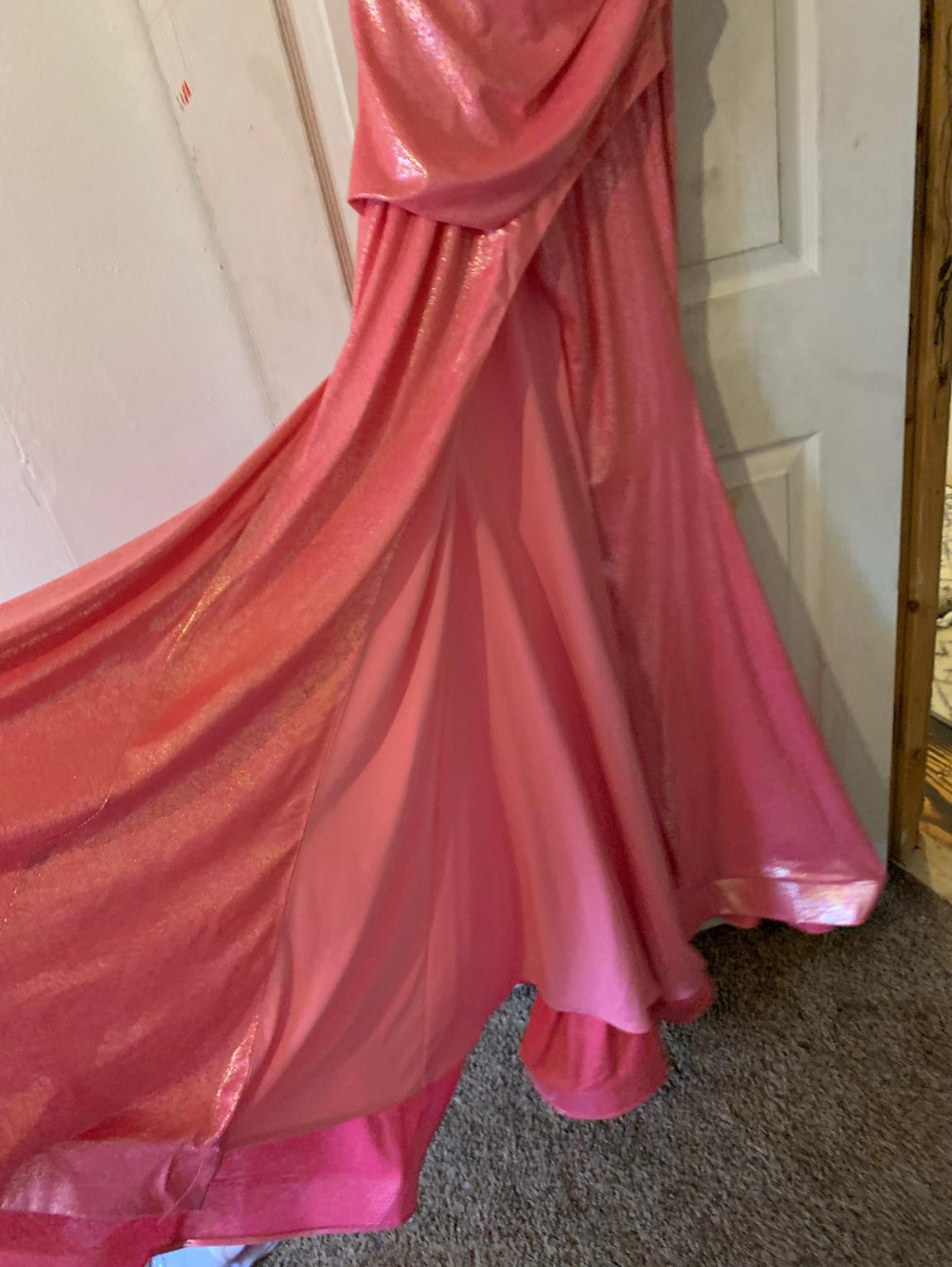 Ashley Lauren Size 0 Prom Pink Mermaid Dress on Queenly