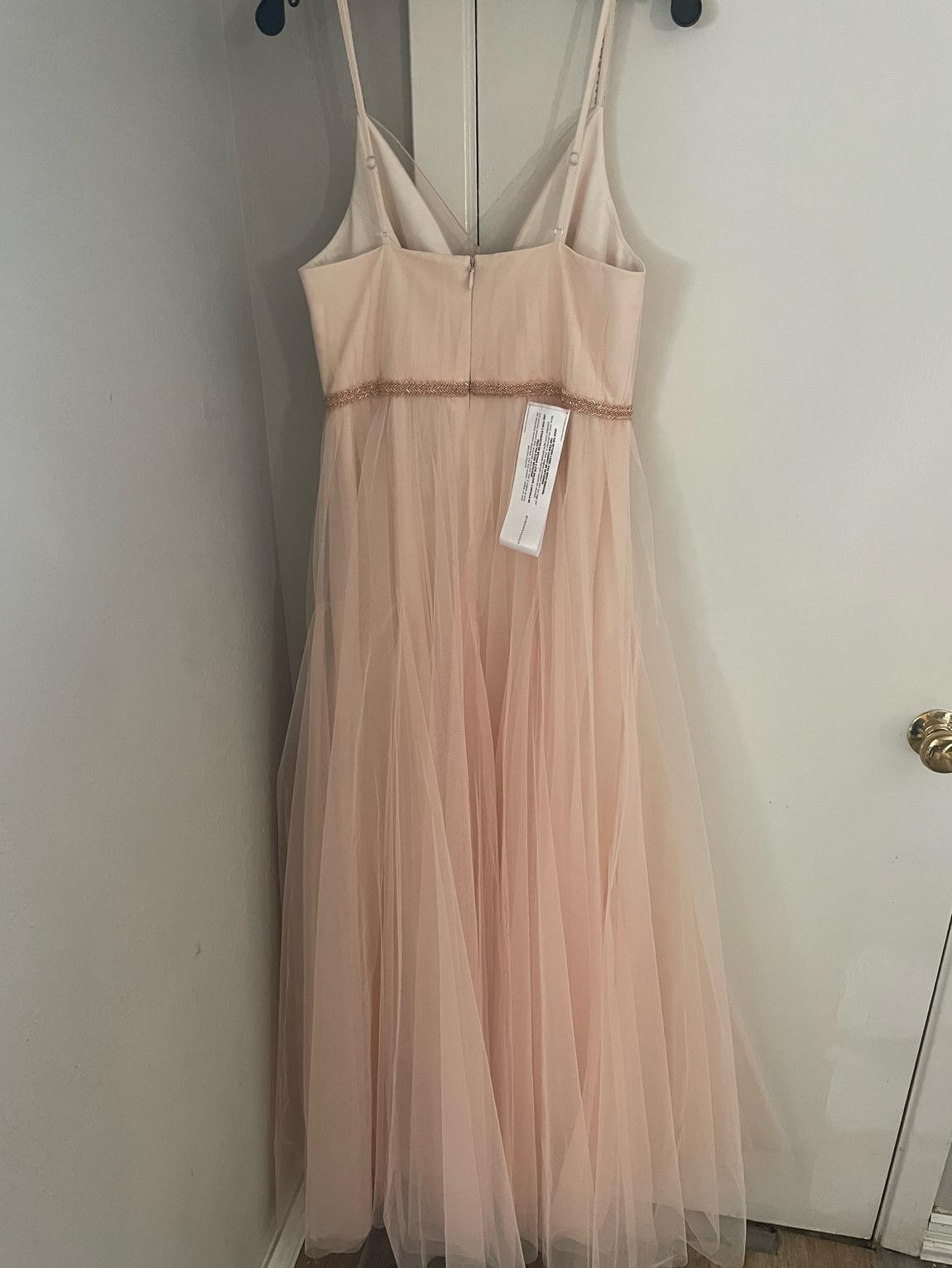 BCBGMAXAZRIA Size 8 Prom Sheer Light Pink Ball Gown on Queenly