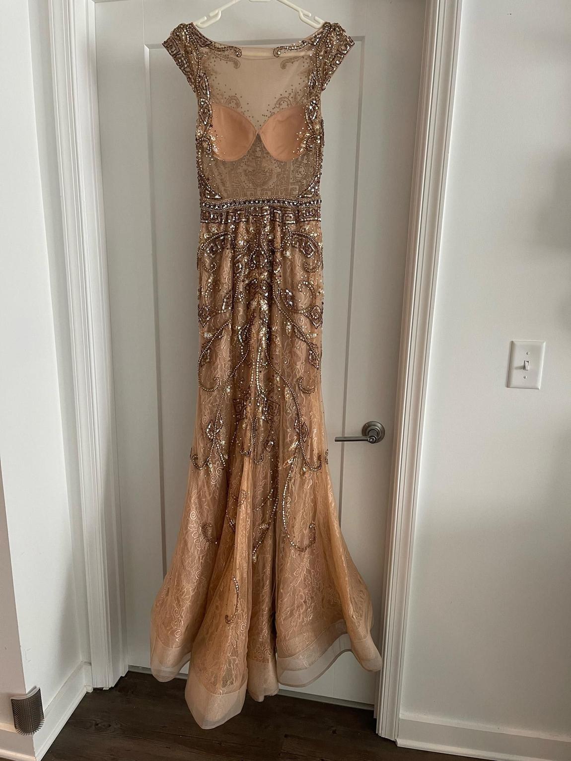Terani Couture Size 6 Lace Nude Mermaid Dress on Queenly