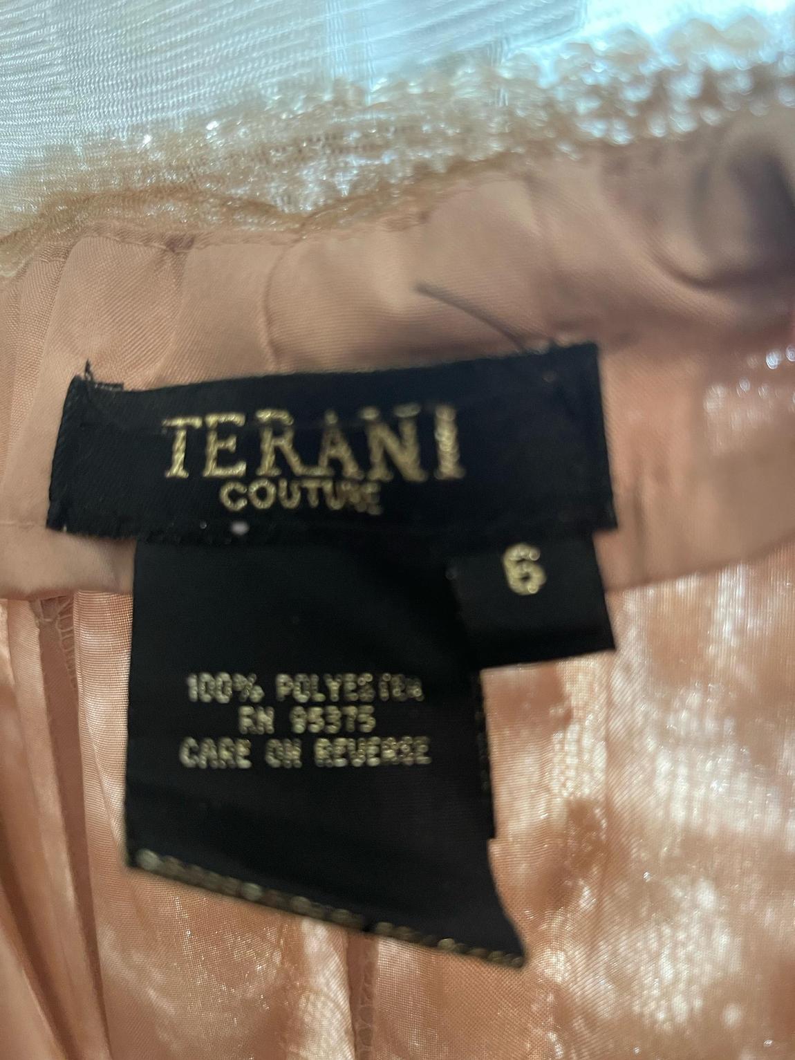 Terani Couture Size 6 Lace Nude Mermaid Dress on Queenly