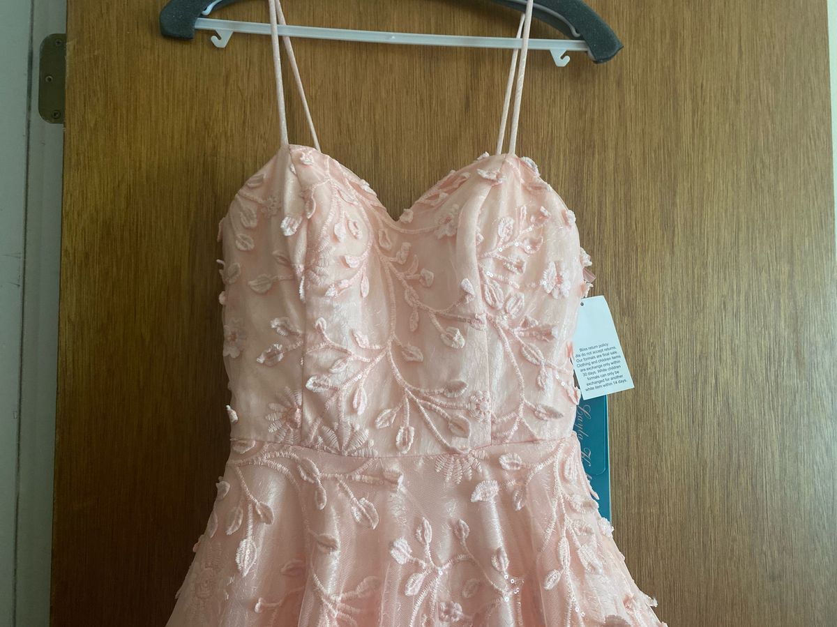 Layla k. Size 4 Prom Pink Ball Gown on Queenly