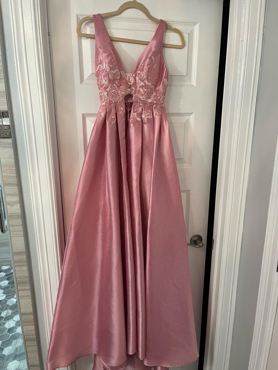 Rachel Allan Size 0 Pink Dress With Train on Queenly