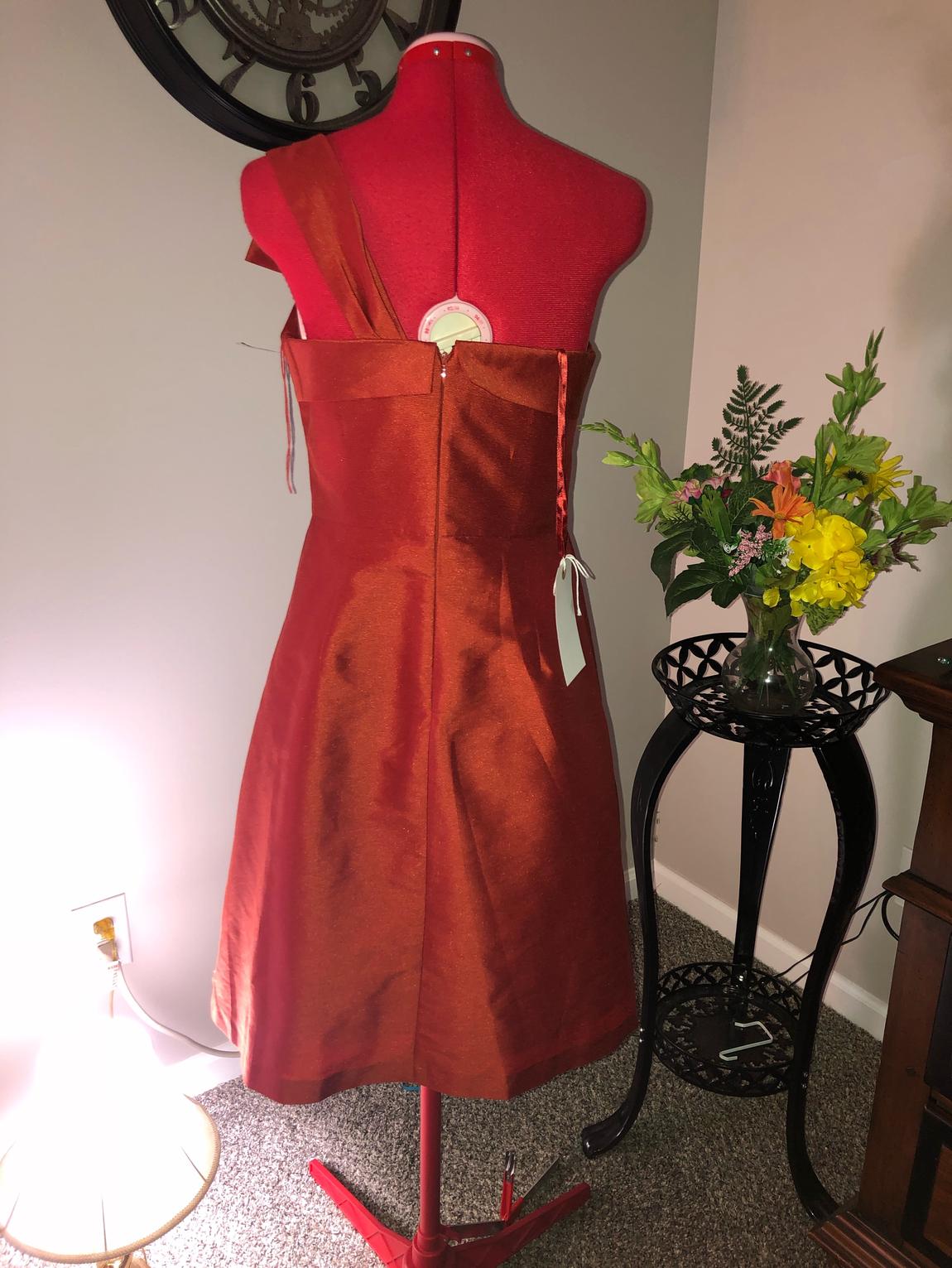 Adrienne Papell Size 8 Strapless Red Cocktail Dress on Queenly