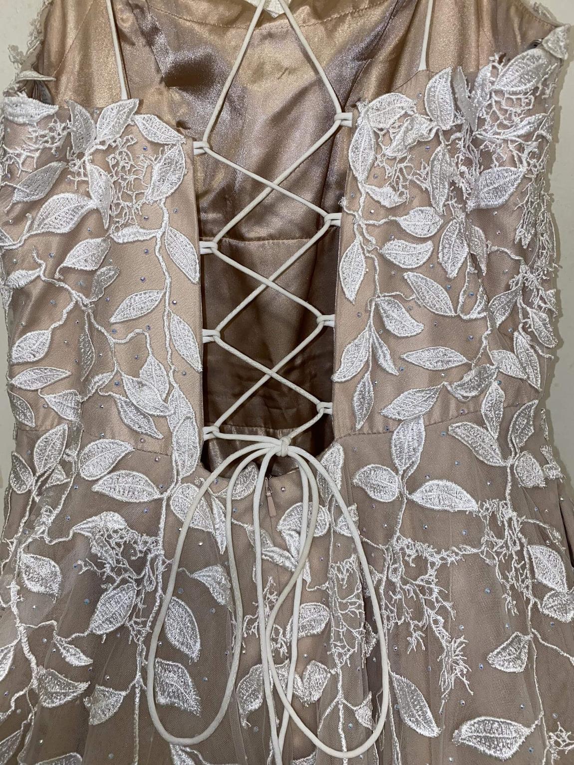 AMARRA Size 10 Nude Ball Gown on Queenly