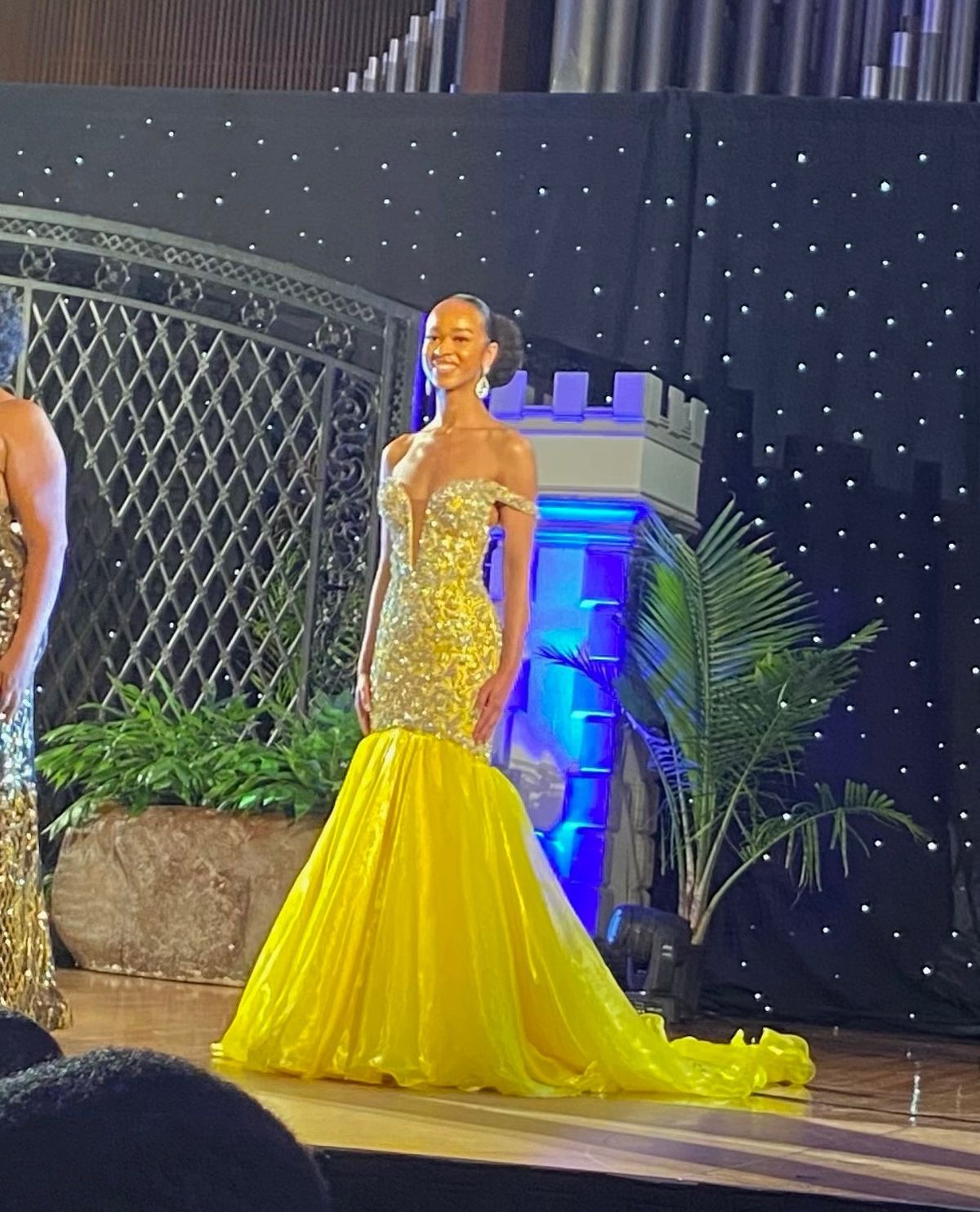 Rachel Allan Size 0 Pageant Yellow Mermaid Dress on Queenly