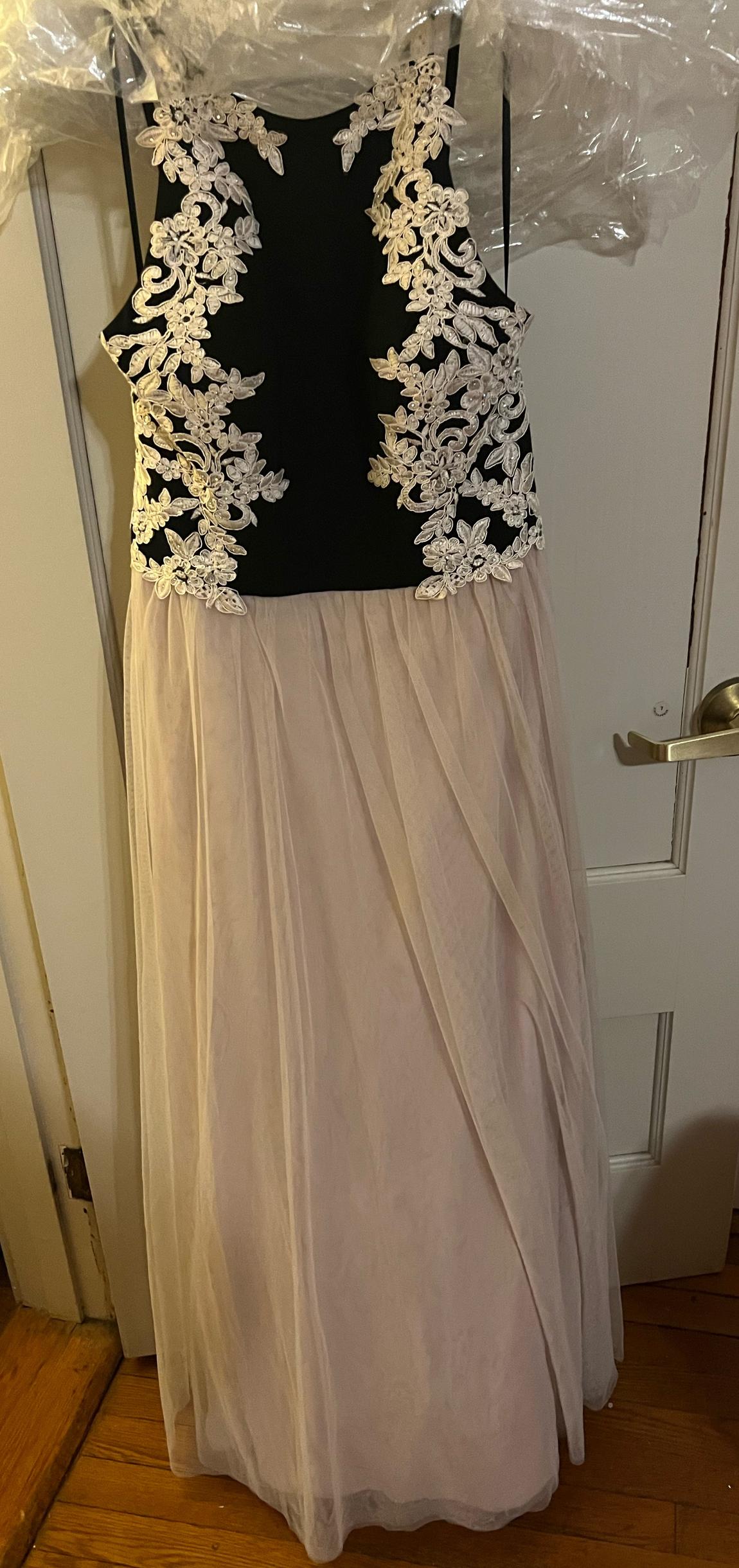 Plus Size 16 Prom Light Pink Floor Length Maxi on Queenly