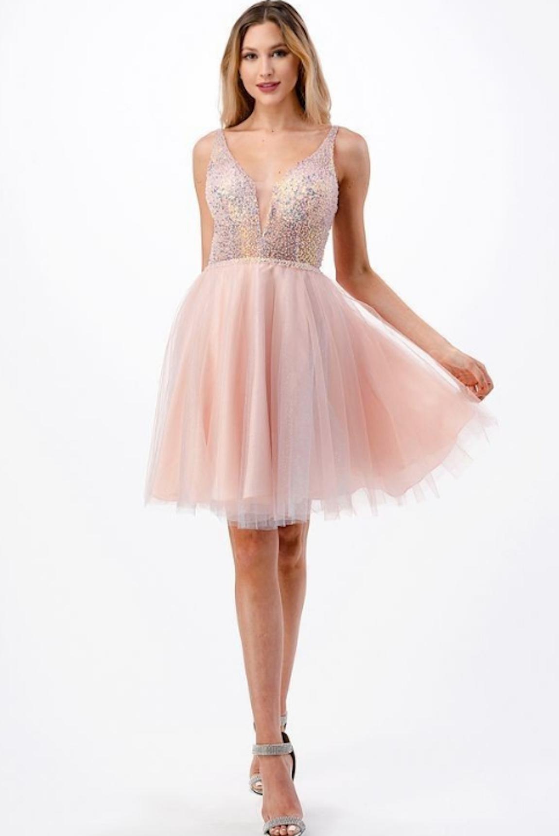 Style CS2700 Coya Size 6 Homecoming Sheer Pink Cocktail Dress on Queenly