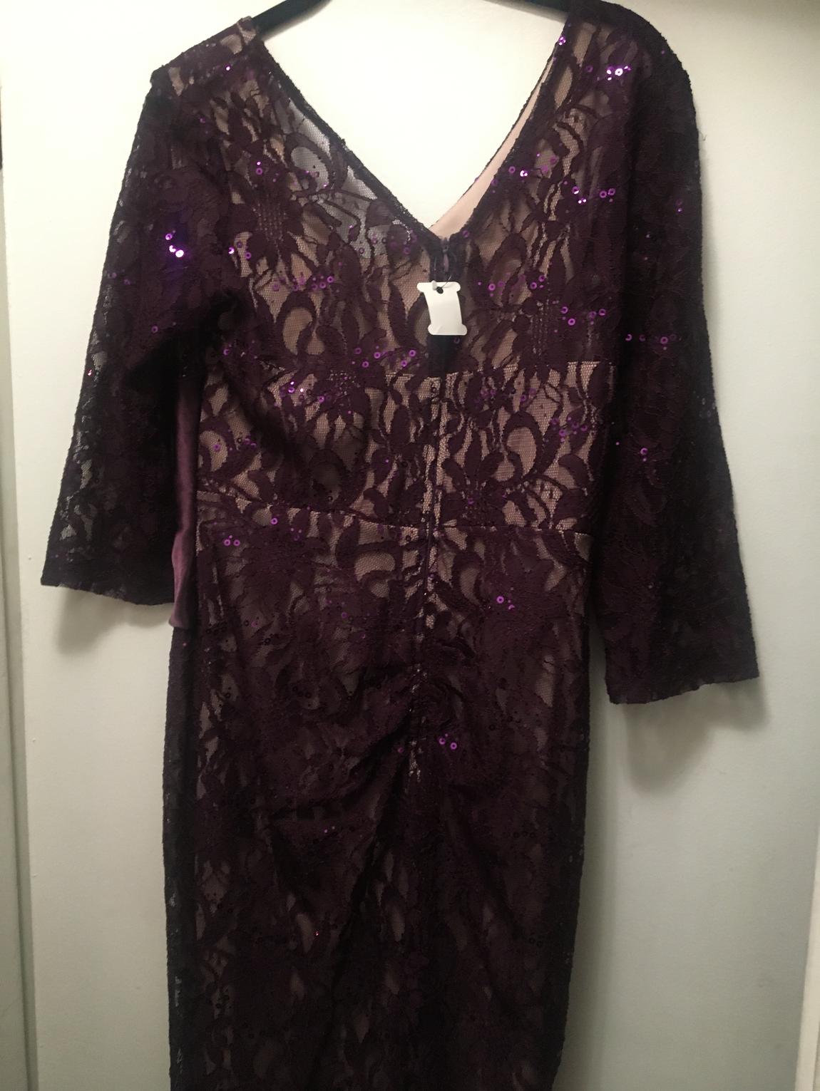 F.I.E.S.T.A. Plus Size 16 Lace Purple Floor Length Maxi on Queenly