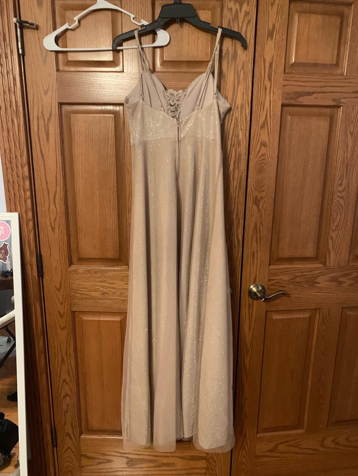 City Triangles Size 6 Nude Floor Length Maxi on Queenly