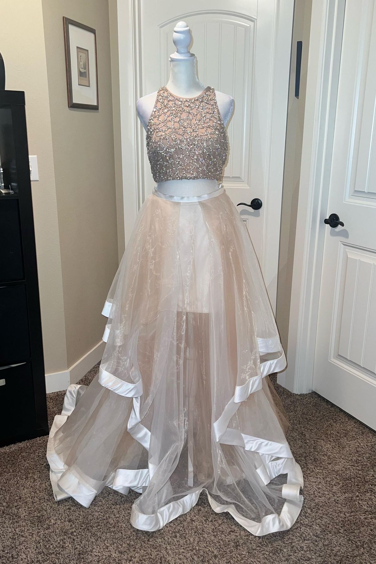 Terani Couture Size 8 Nude Ball Gown on Queenly