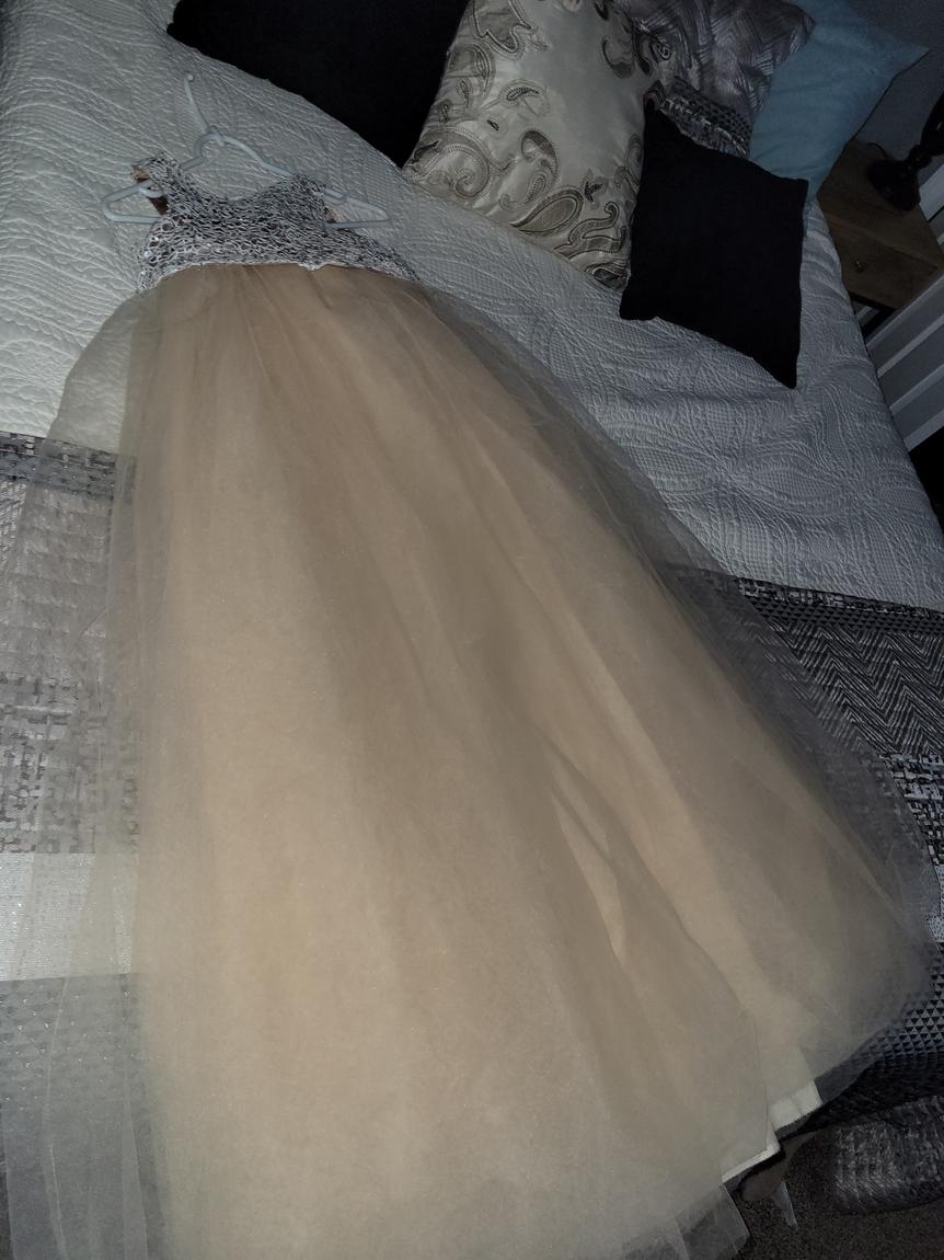 Ro Palia Size 6 Prom Nude Ball Gown on Queenly