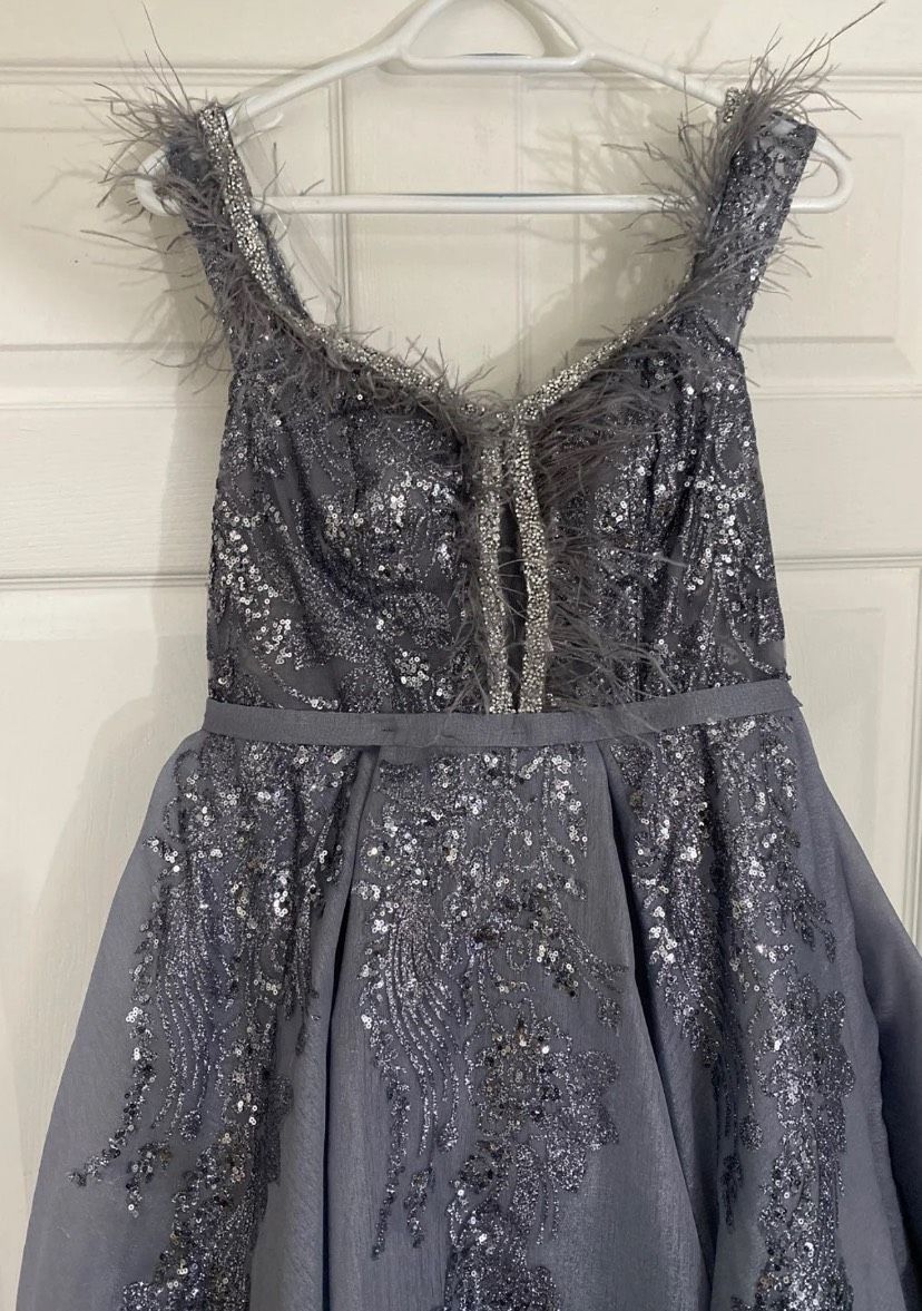Size 12 Silver Ball Gown on Queenly