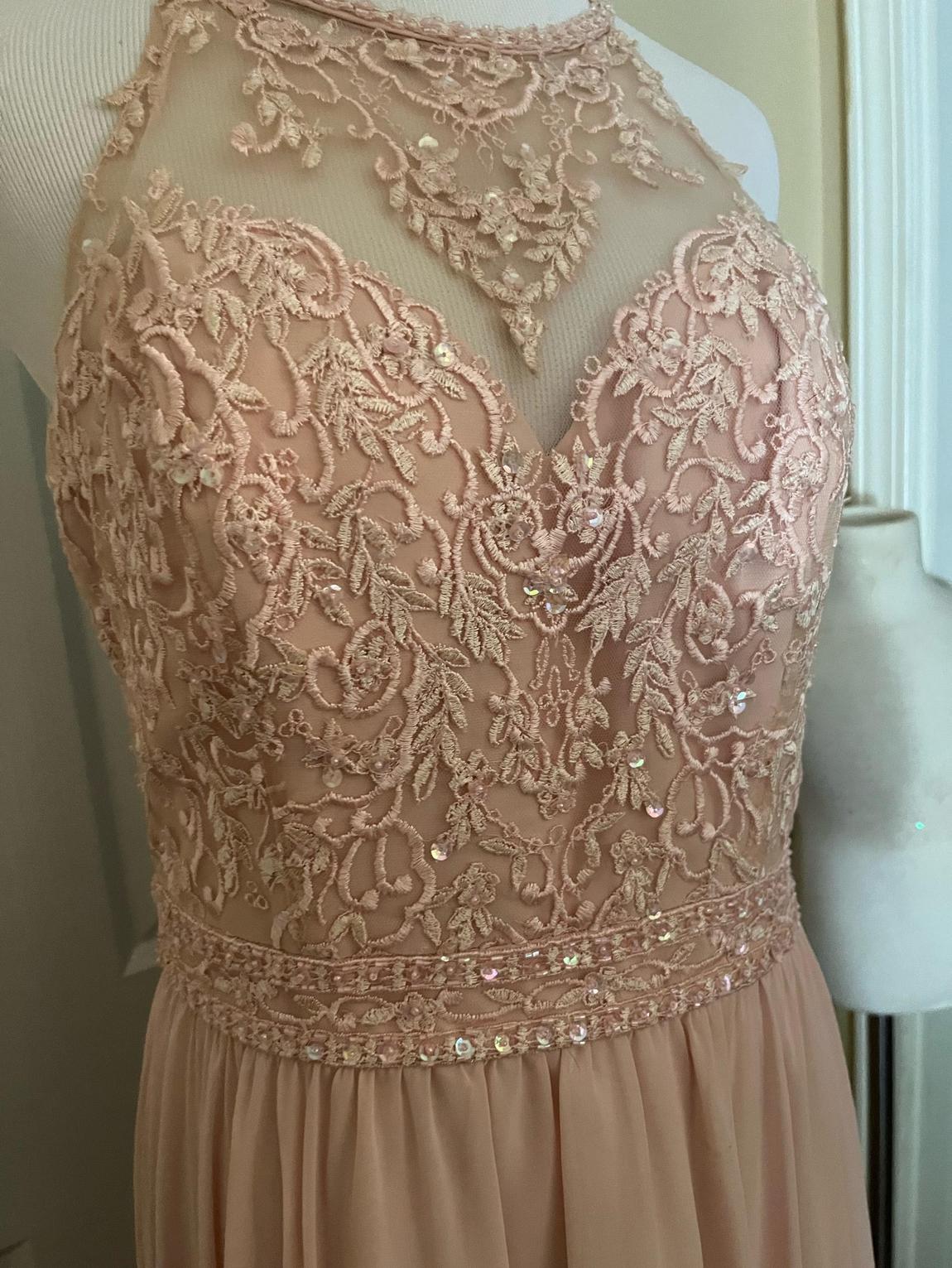 MoriLee Size 12 Prom Lace Light Pink Floor Length Maxi on Queenly