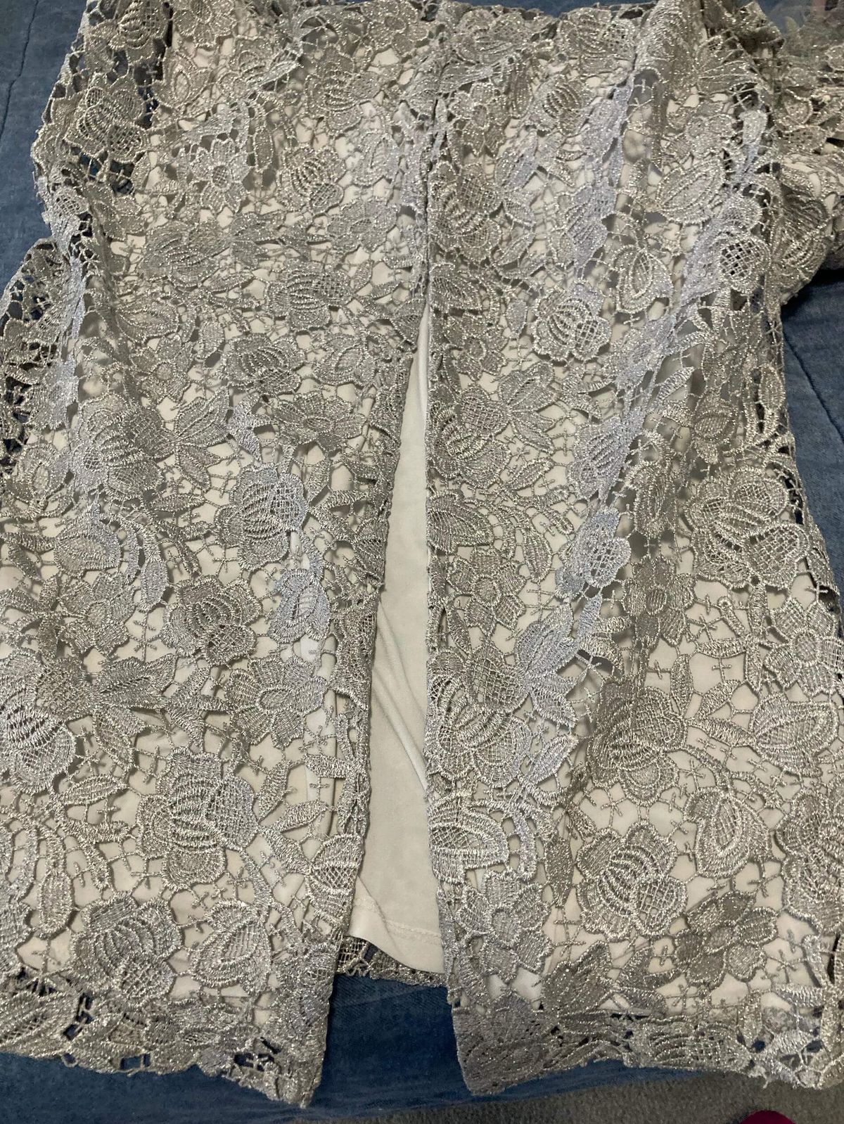 Lauren Ralph Lauren Size 2 Wedding Guest Cap Sleeve Lace Silver Floor Length Maxi on Queenly