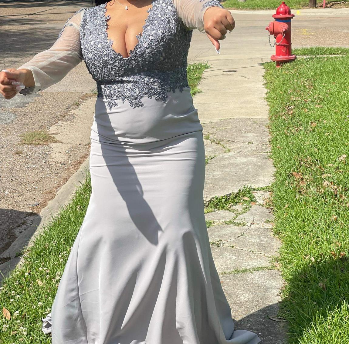 Plus Size 16 Silver Mermaid Dress on Queenly