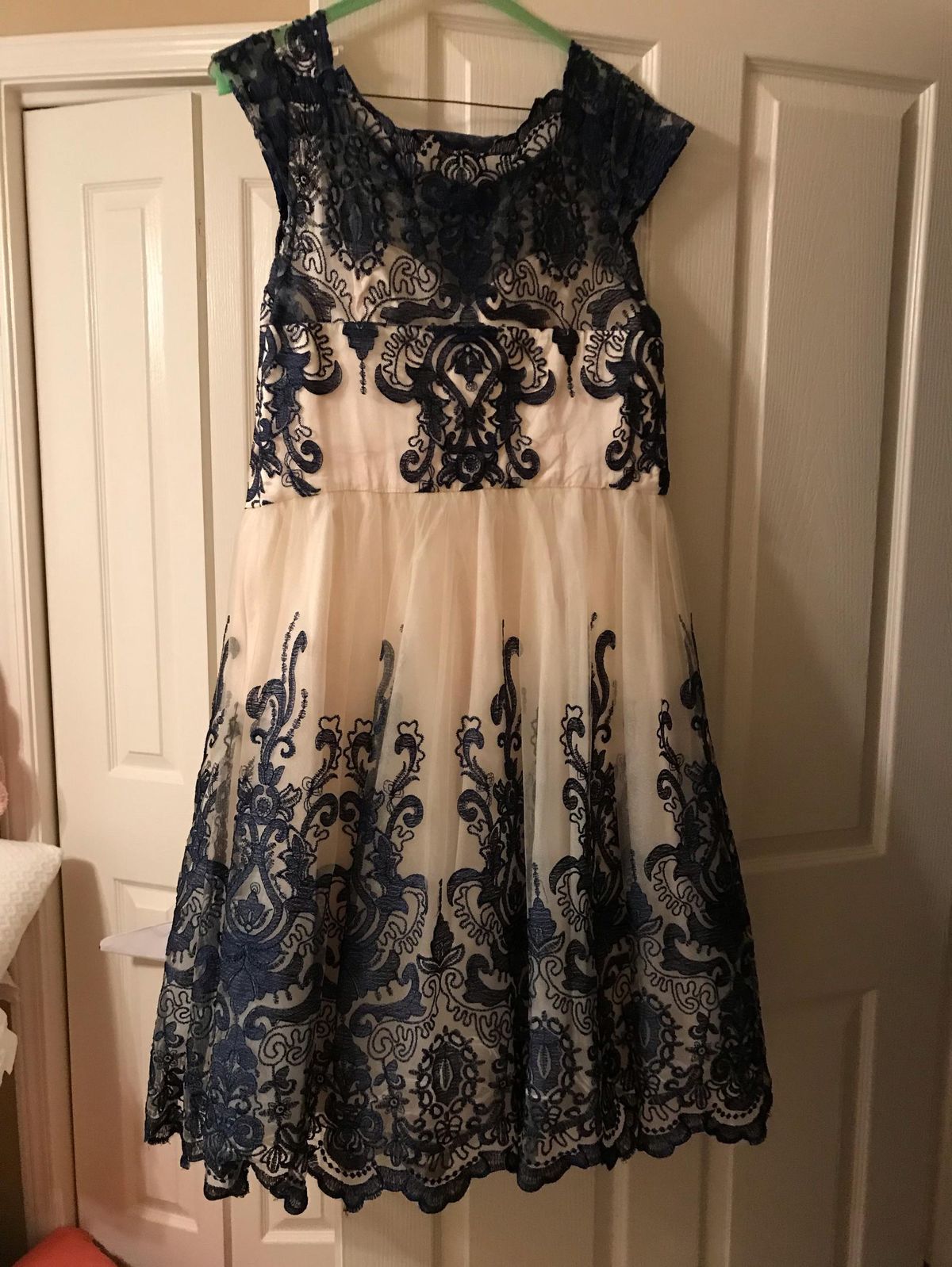 Plus Size 16 Lace Navy Blue A-line Dress on Queenly