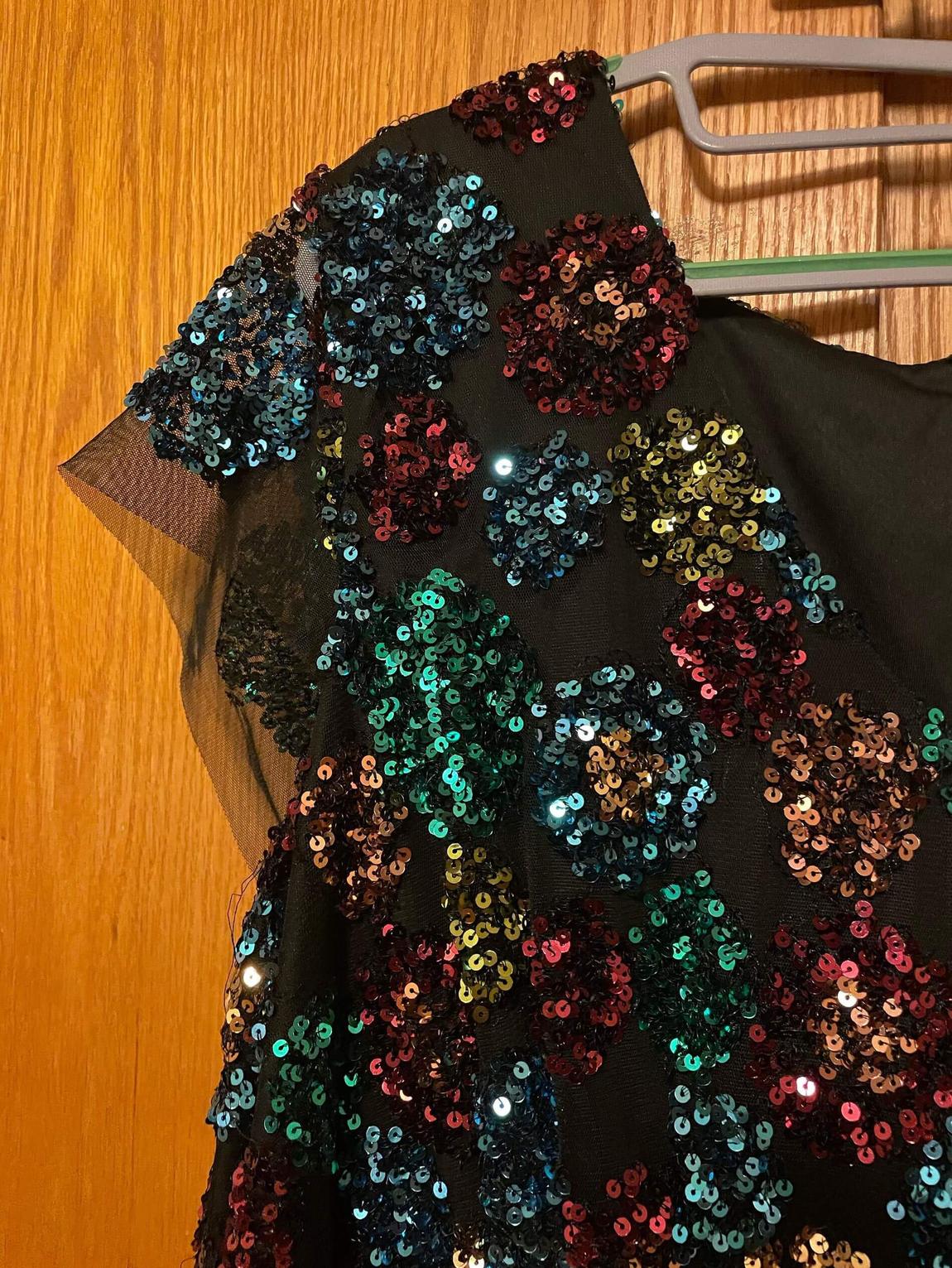 Eva Franco (Anthropologie) Plus Size 20 Sequined Multicolor Cocktail Dress on Queenly
