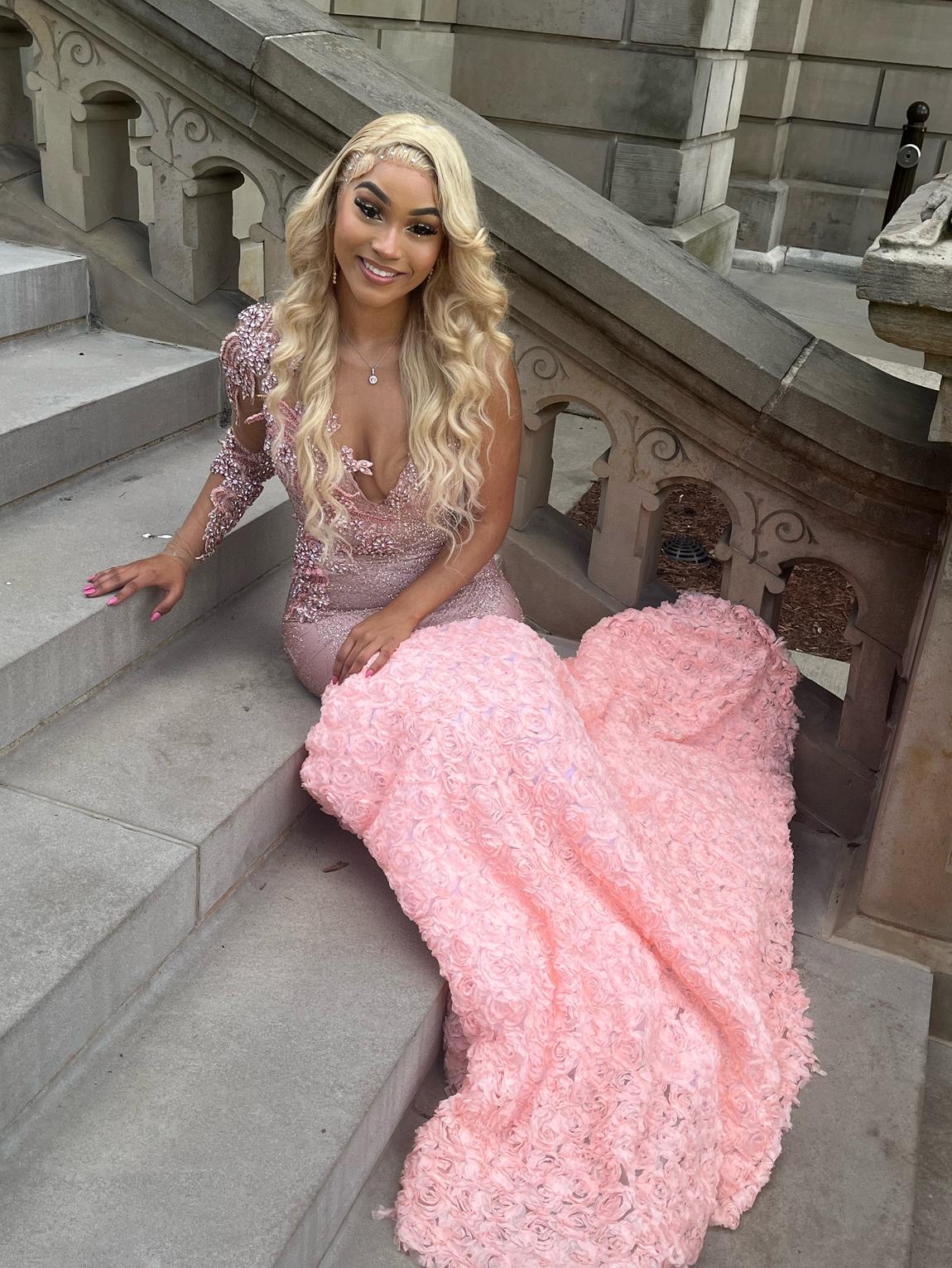Custom Size 4 Prom Long Sleeve Lace Light Pink Mermaid Dress on Queenly