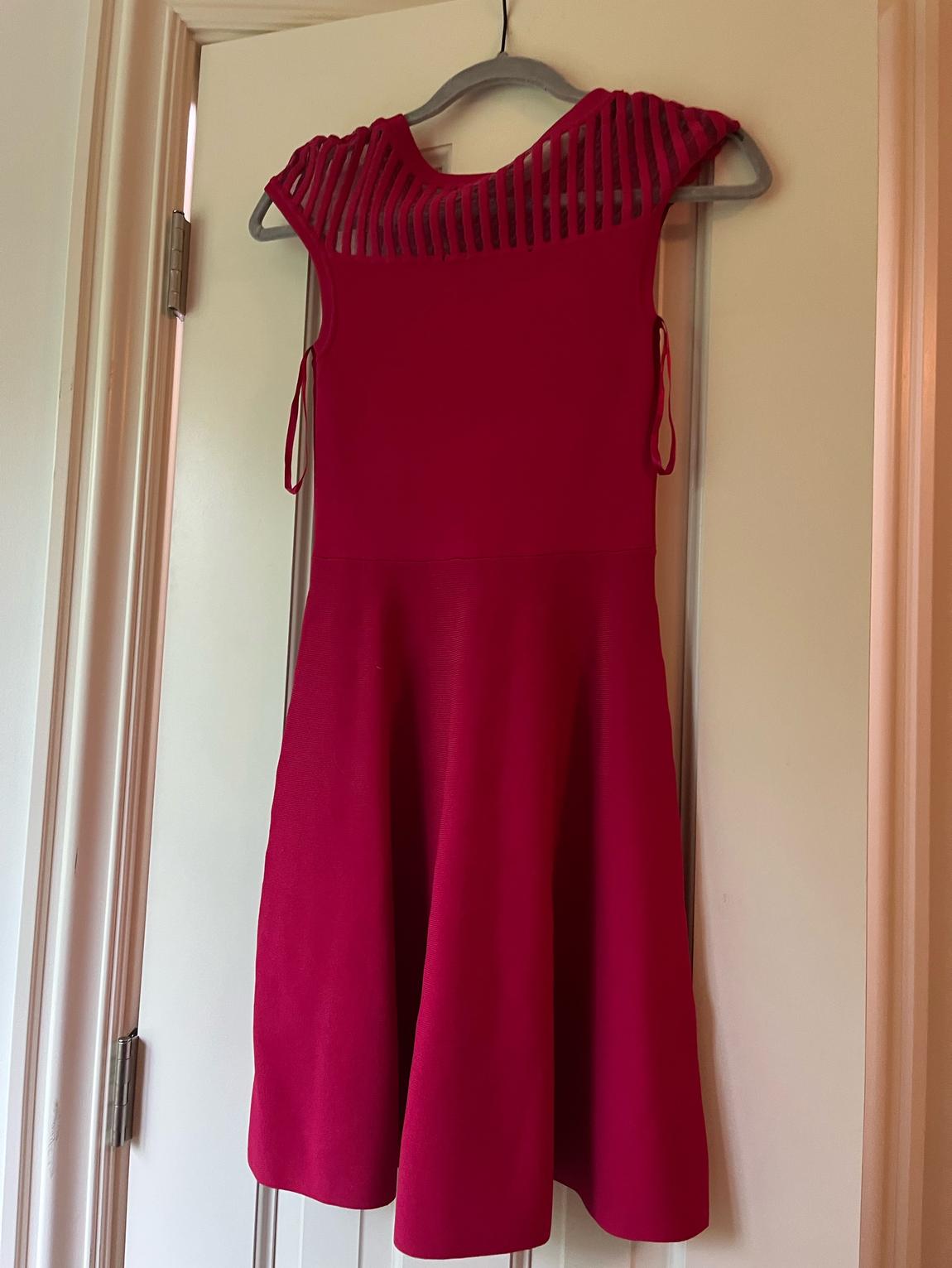 Size 2 Homecoming Sheer Hot Pink A-line Dress on Queenly