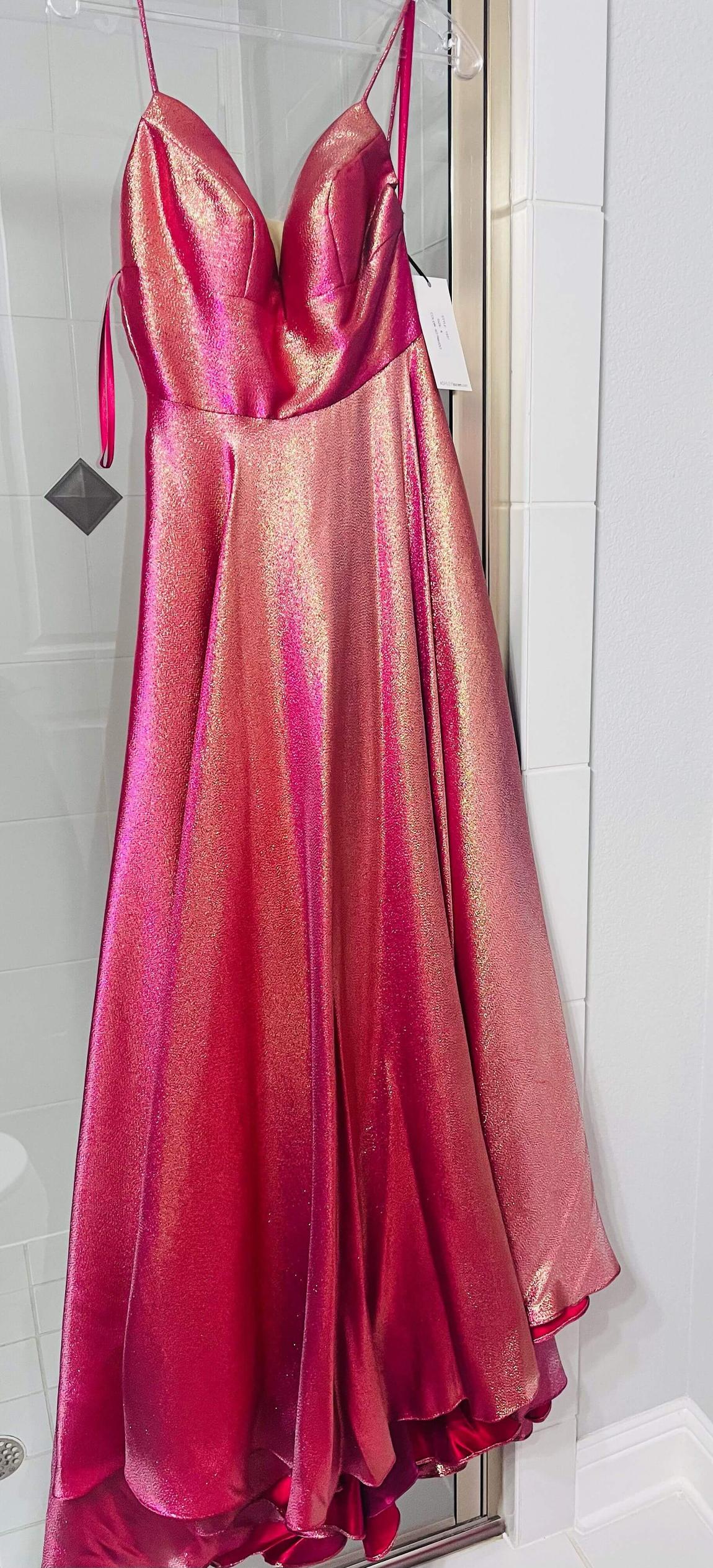 Ashley Lauren Size 8 Prom Hot Pink Ball Gown on Queenly