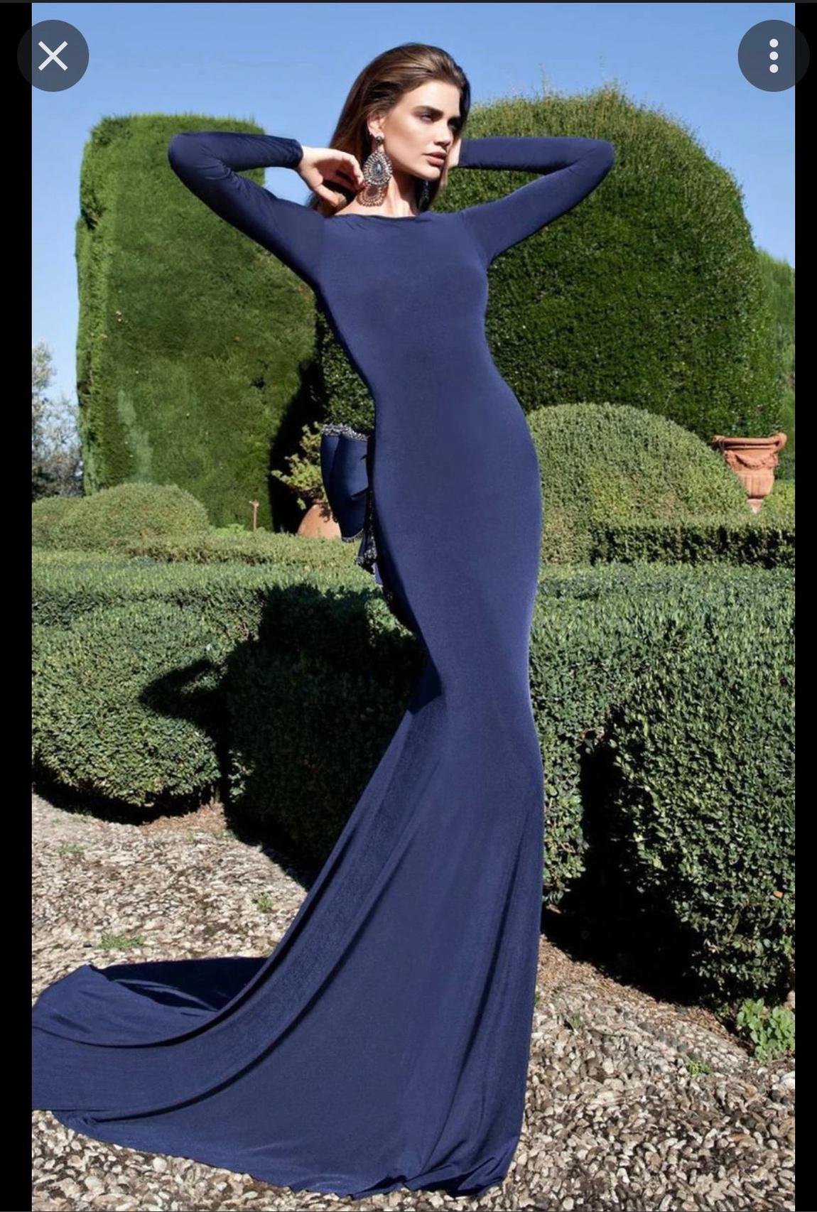 Tarik Ediz Size 10 Long Sleeve Blue Mermaid Dress on Queenly
