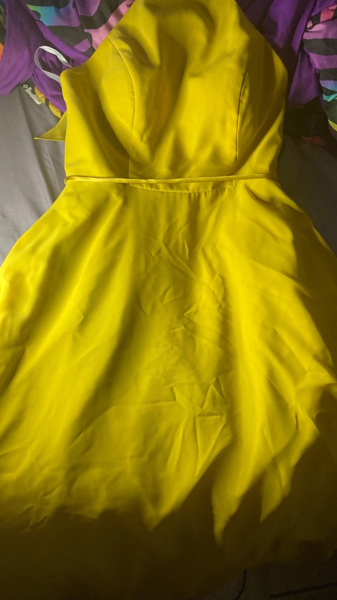 Plus Size 16 Yellow Floor Length Maxi on Queenly