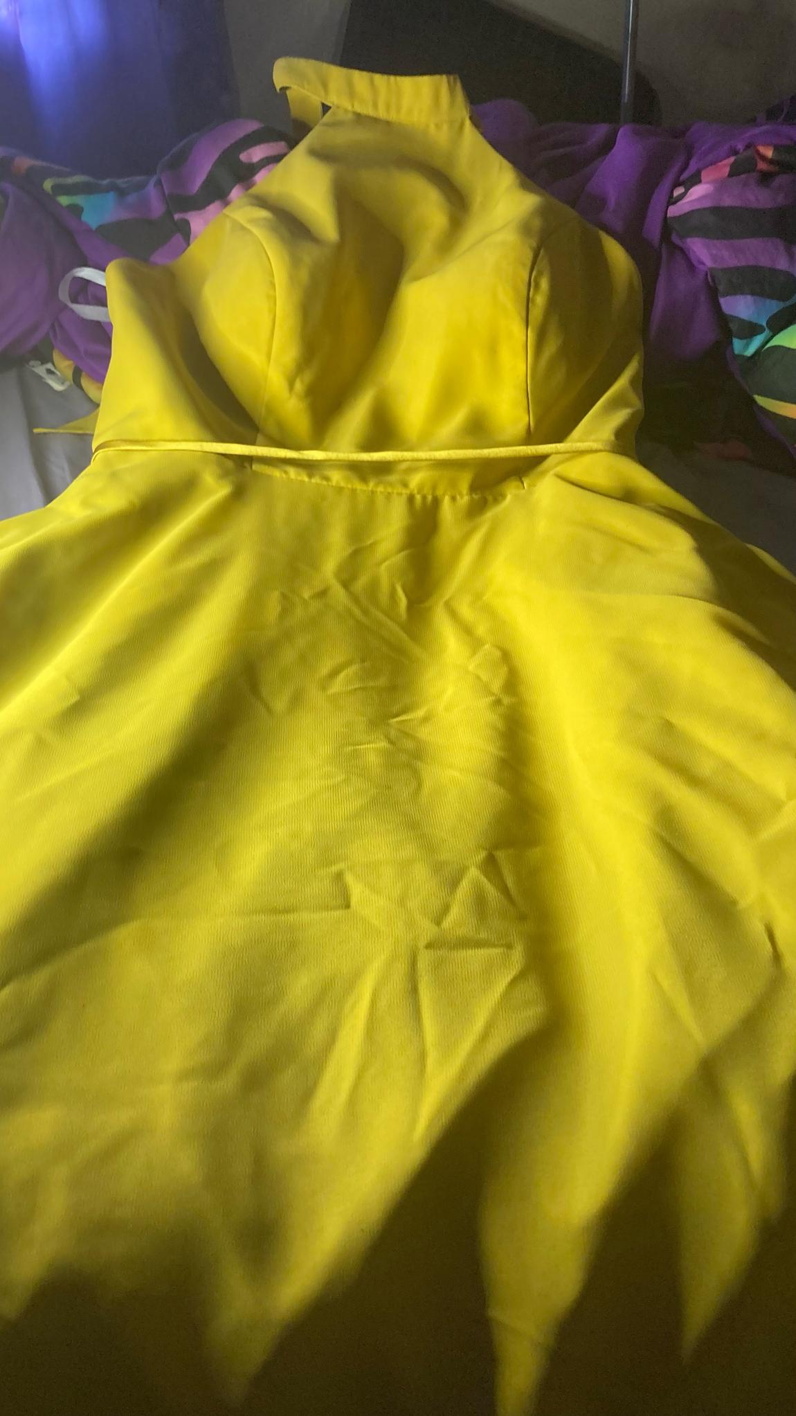 Plus Size 16 Yellow Floor Length Maxi on Queenly